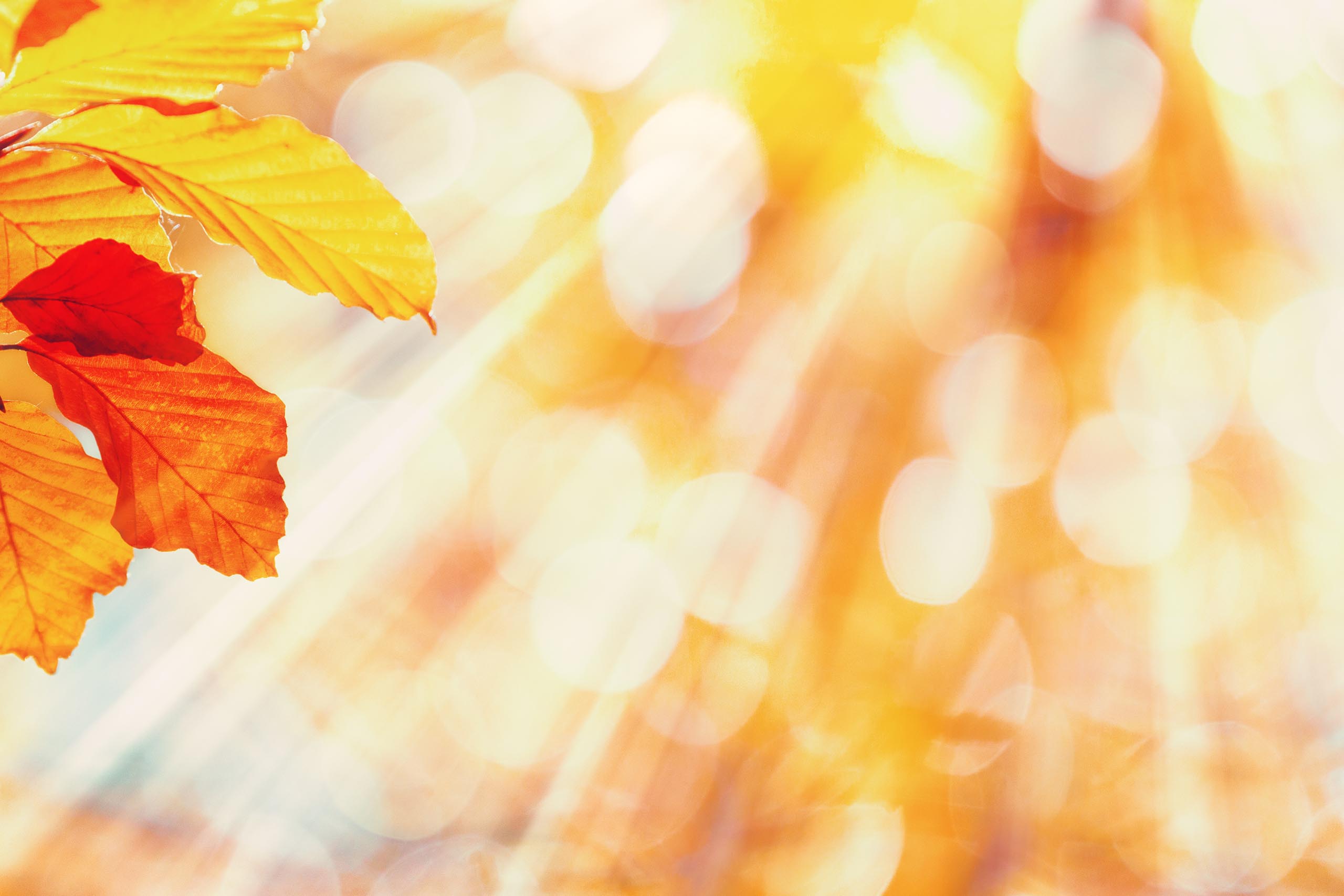 50+ War das schon alles?