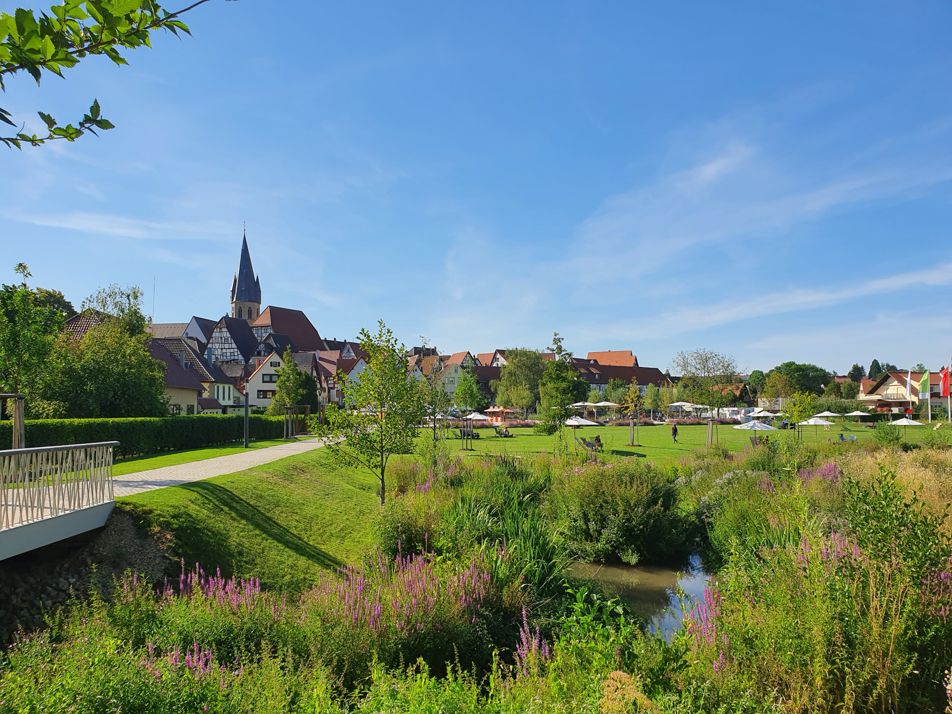 20220717_174603 Weiherpark2