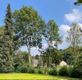 Blick auf die Kirche Eyll
