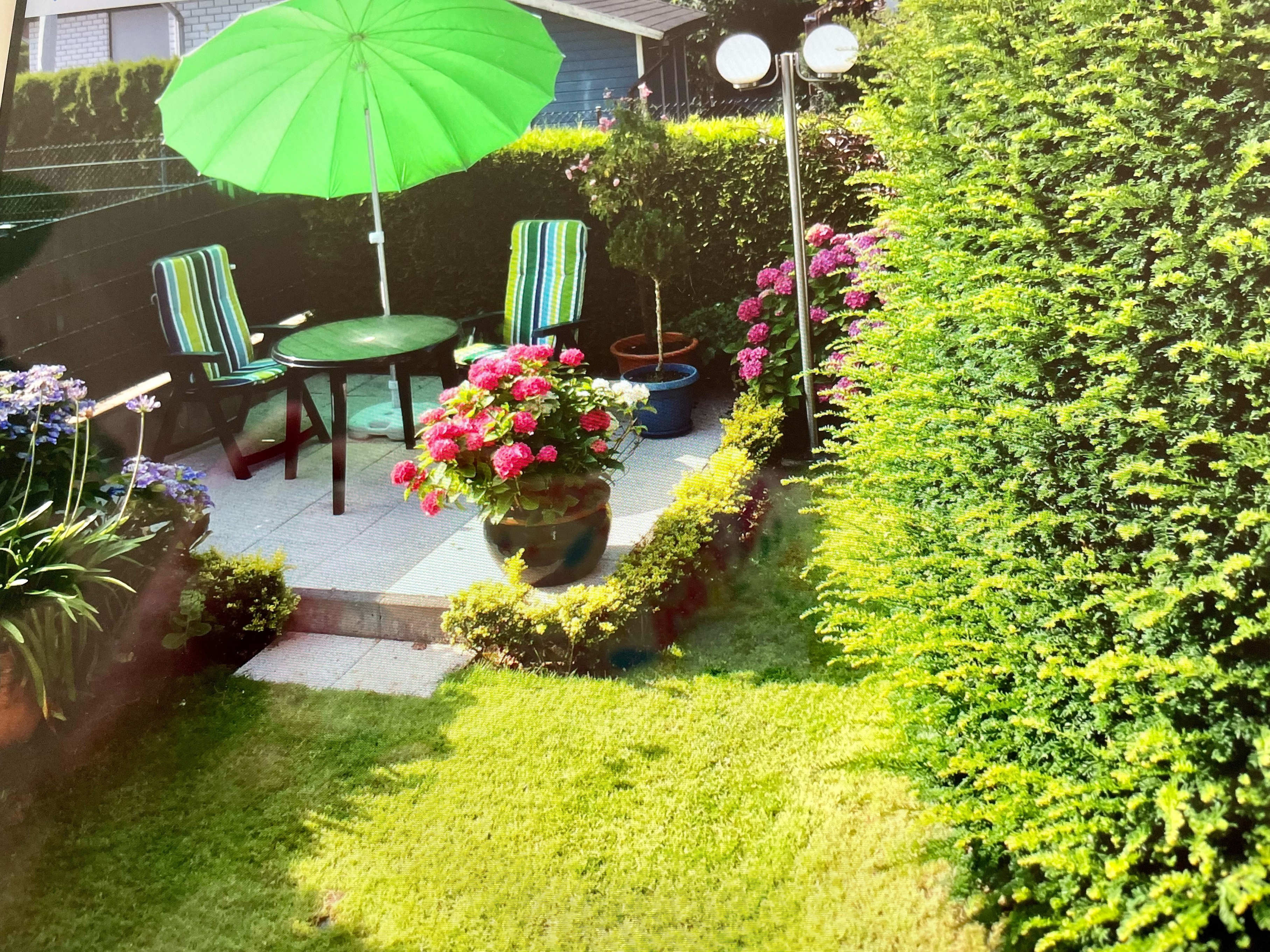 Garten Fewo Haus Holunderhain_WES