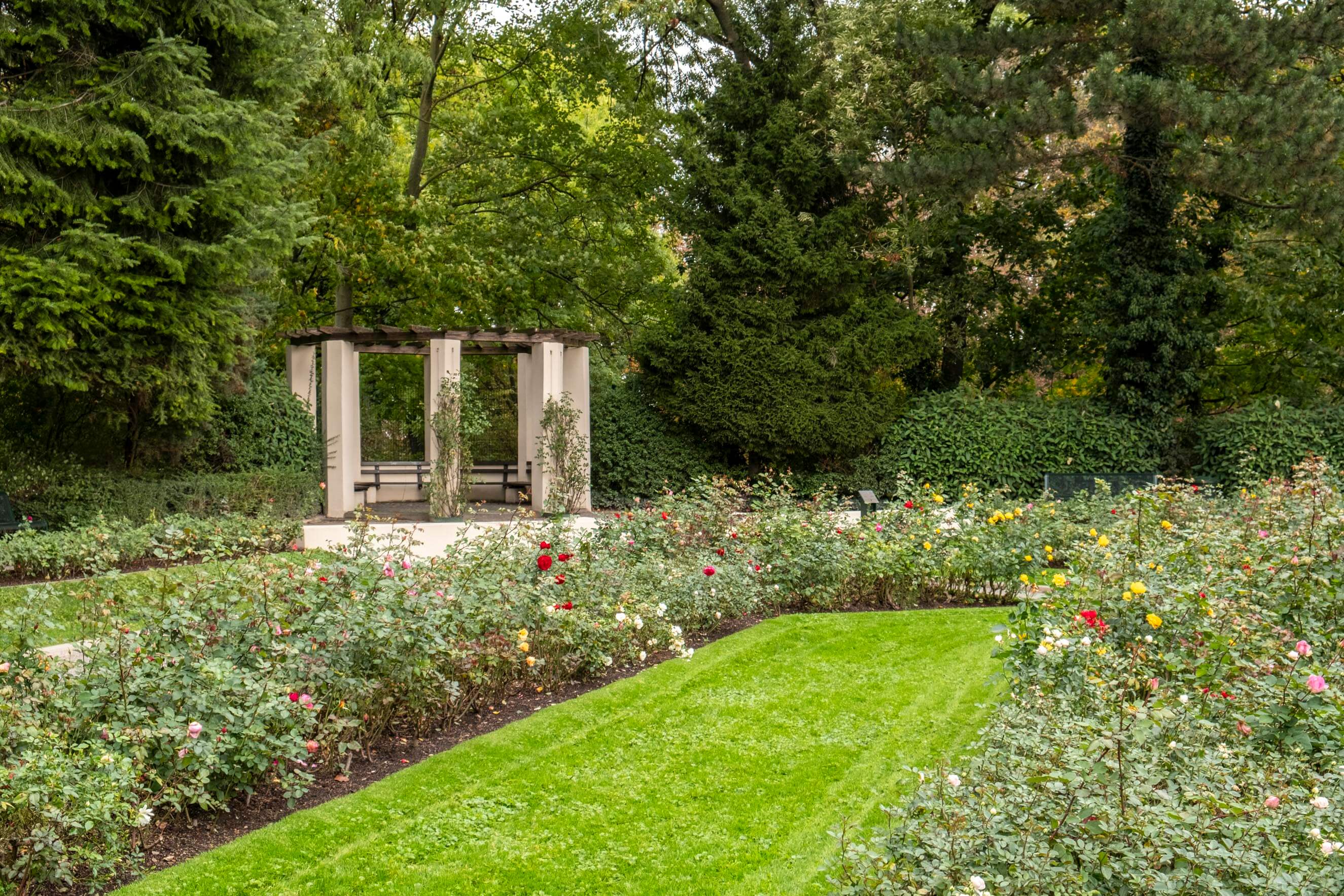 The rose garden in Fort X: an idyllic spot with 2,000 roses