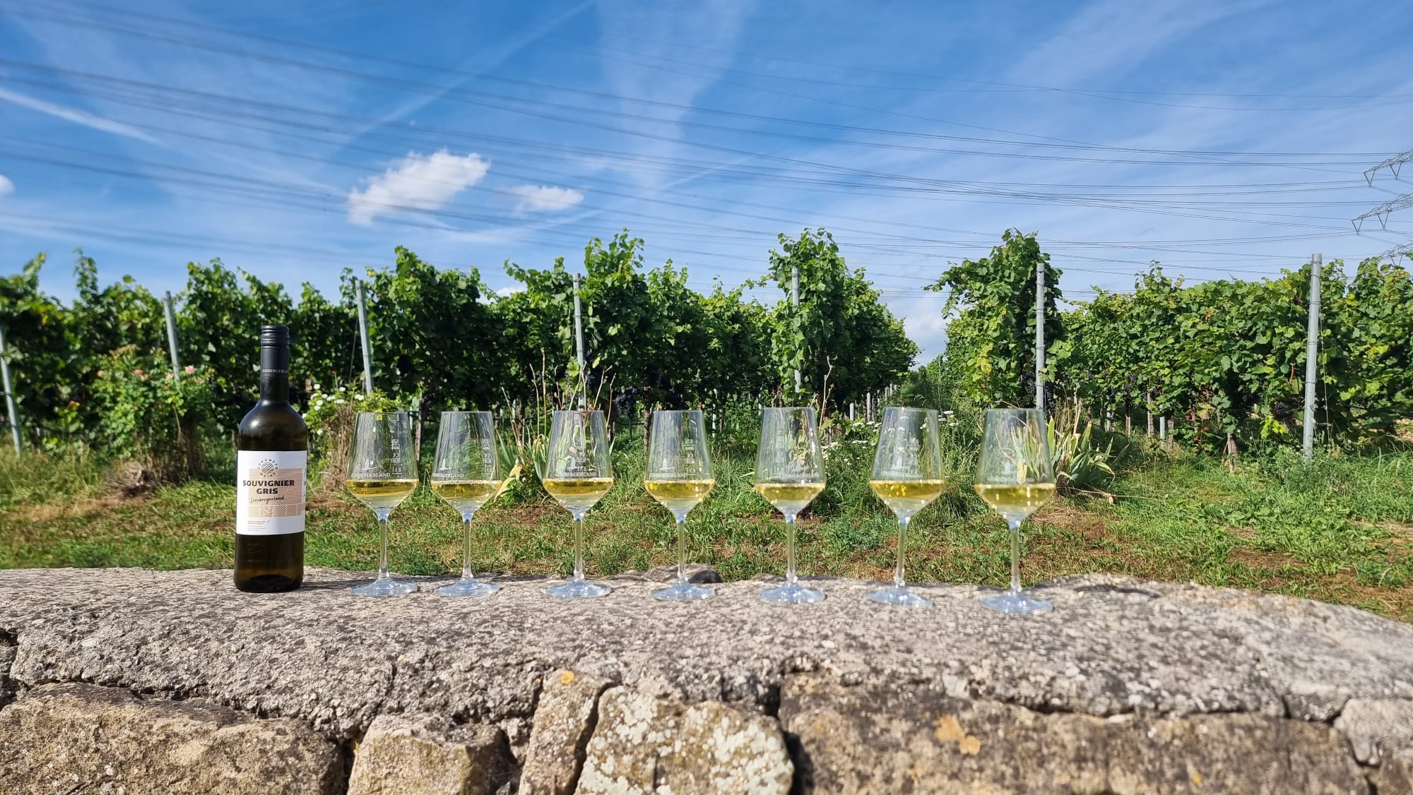 Weintour in Markgröningen