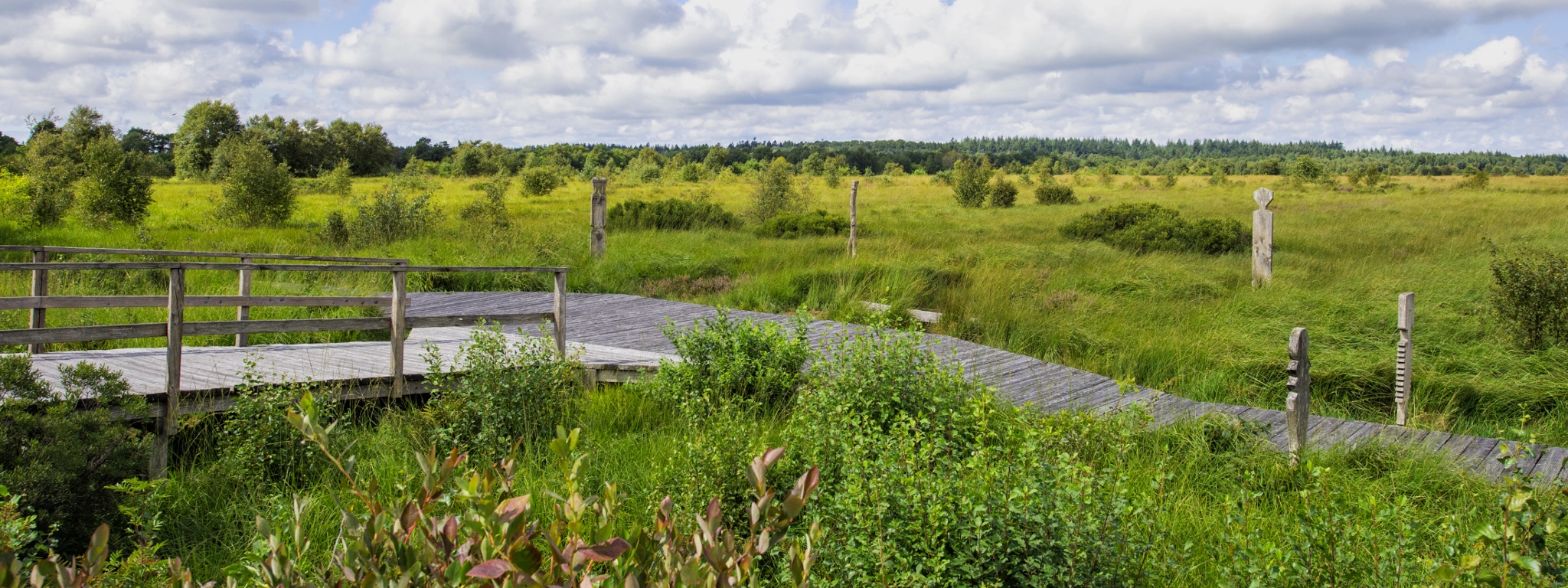 De Moorpadd - Radrundweg entlang des Ahlenmoors