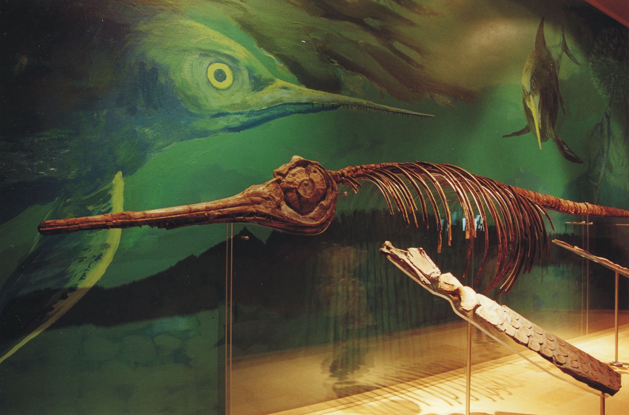 Wo ist denn das Meer geblieben? – Eine Zeitreise für Kinder/Familien