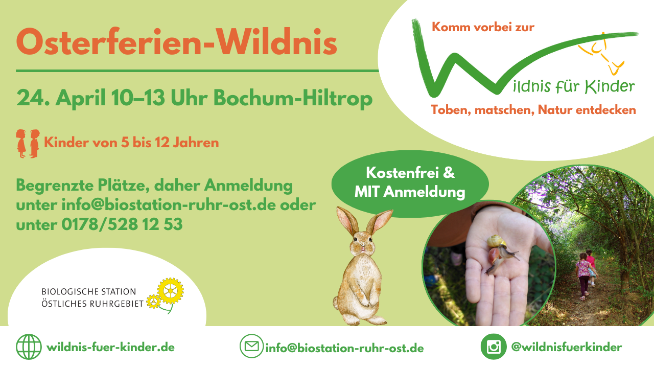 Veranstaltungsbanner Osterferien-Wildnis.png