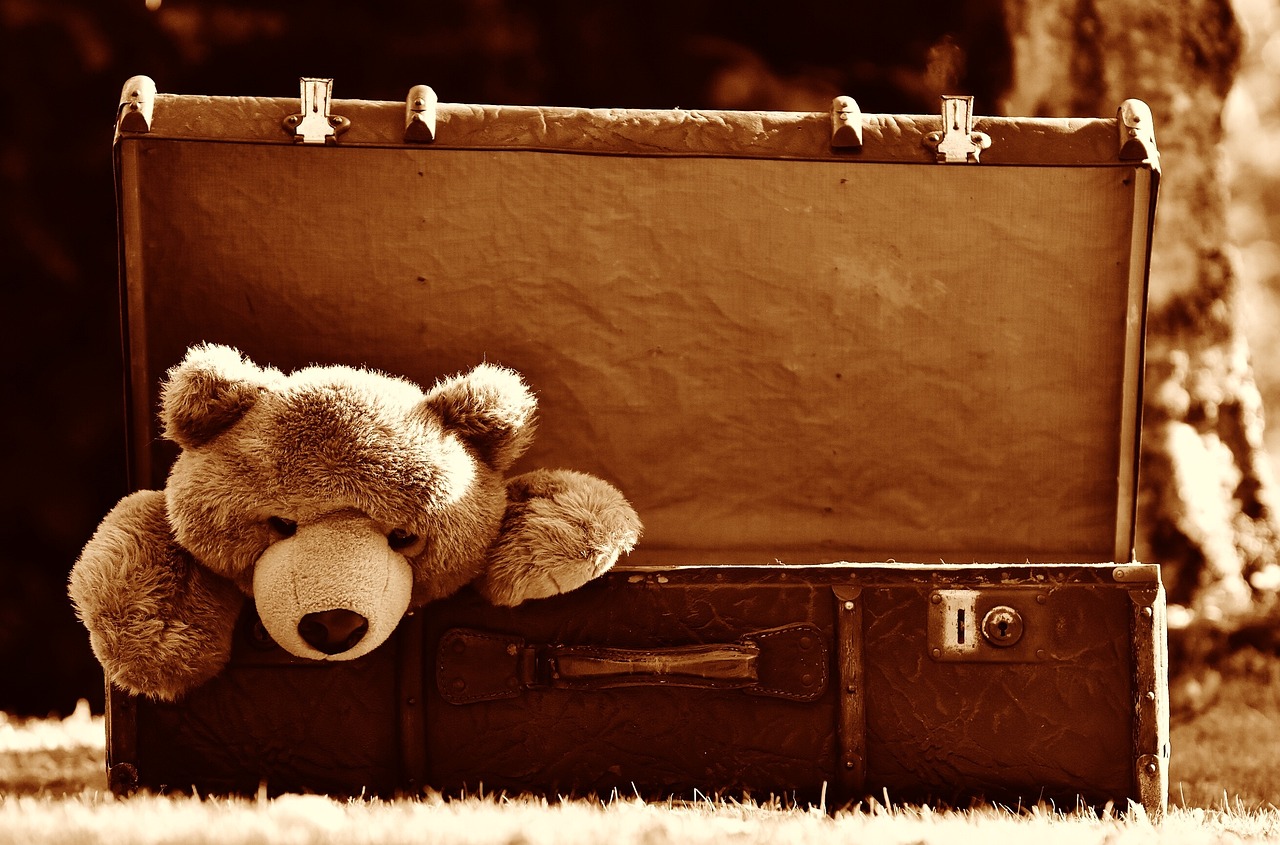 suitcase-1799207_1280.jpg