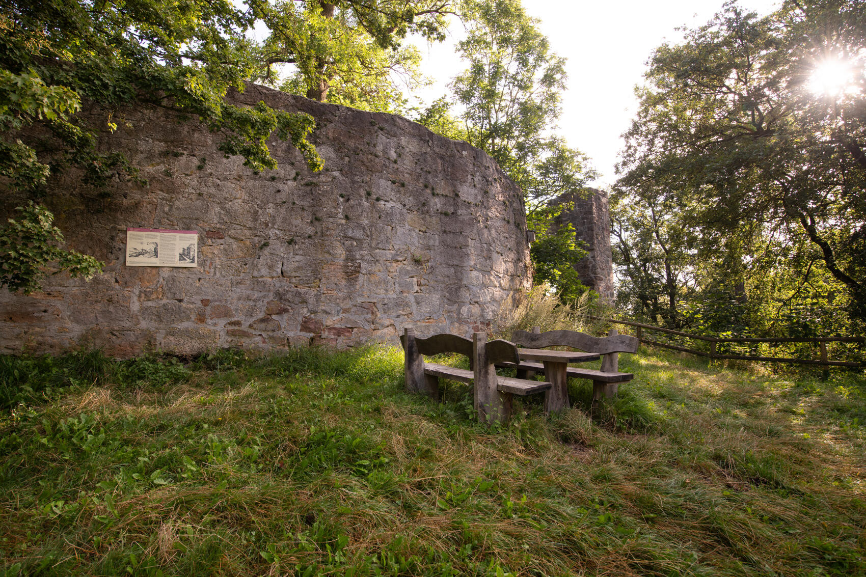 Burgruine Falkenstein
