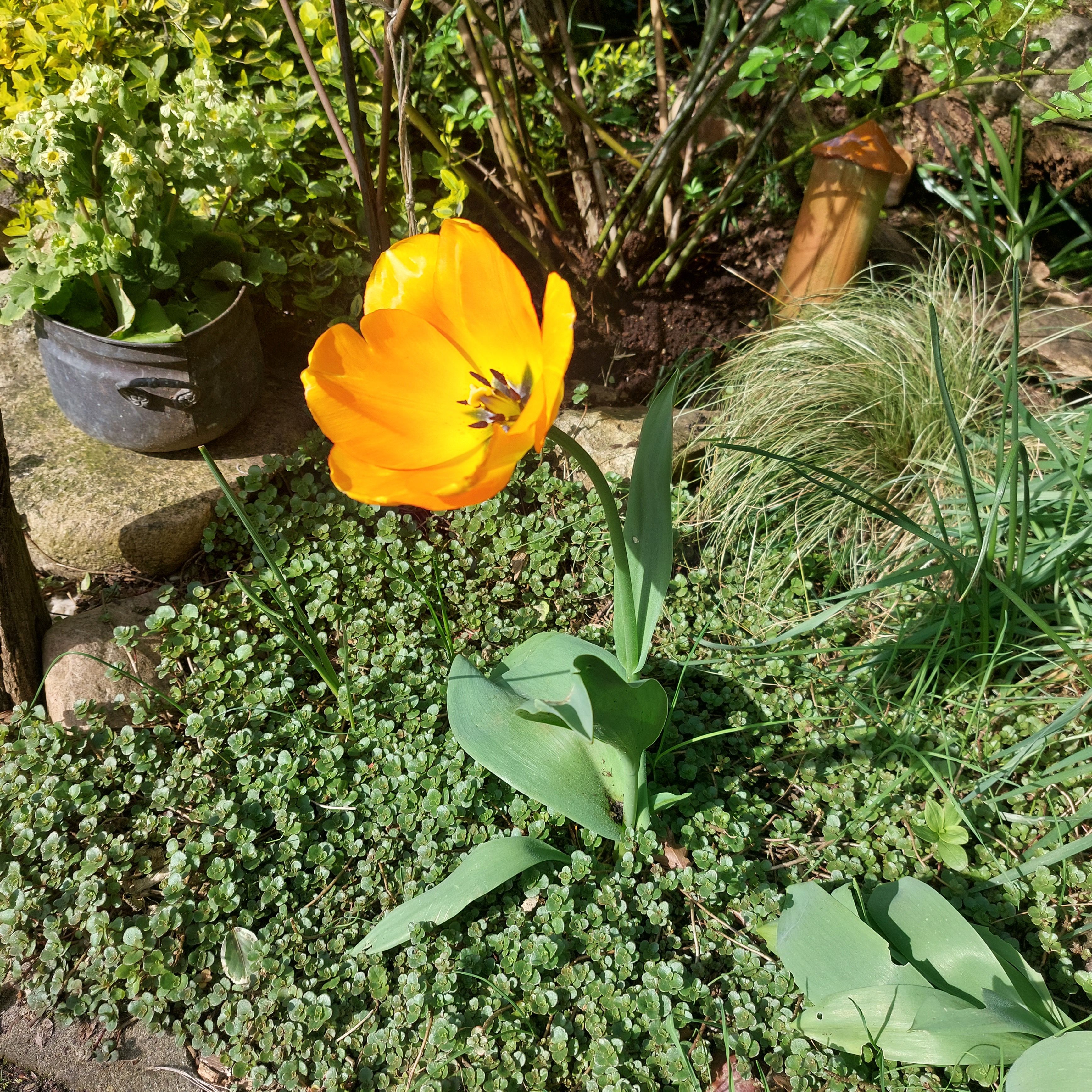 Atelier hinterm Gartenzaun