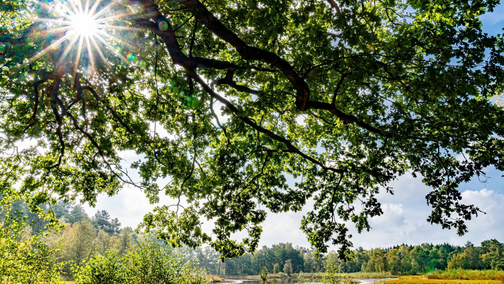 Natur pur rund um Soltau (Tour 1)