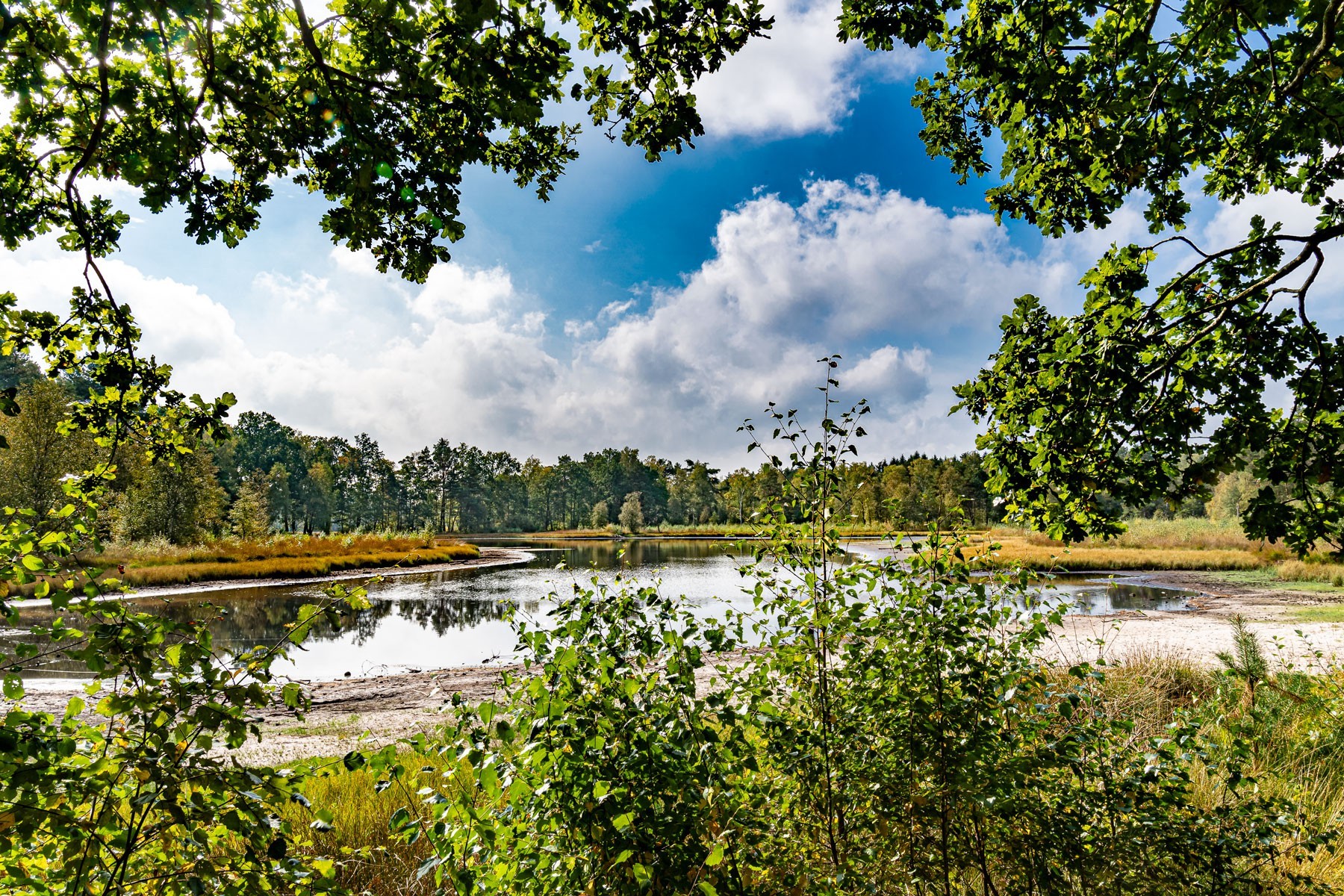 Durch die Natur Soltaus