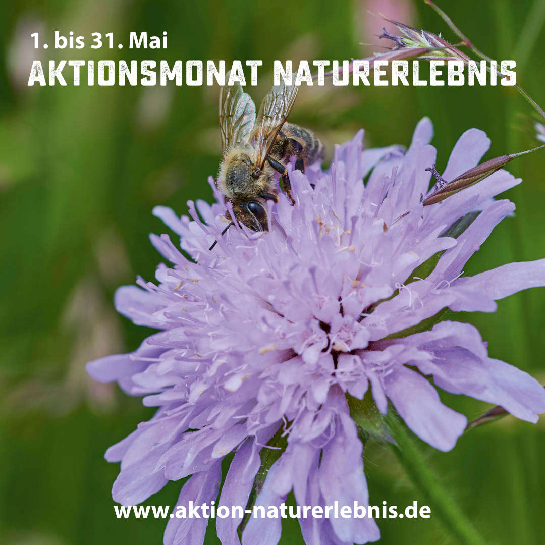 Aktionsmonat Mai: Garten-Genuss-Rundgang mit sachkundiger Führung