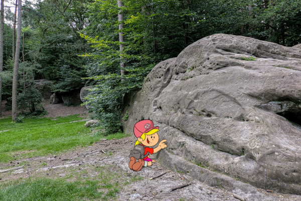 Fossilienjagd: Spurensuche auf dem Geopfad