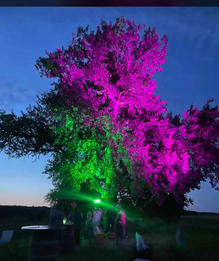 2024_Odenheim_Weinblicke_(SinaZimmer)_WeinfestVatertag_CCBYWeingutAdrianZimmer