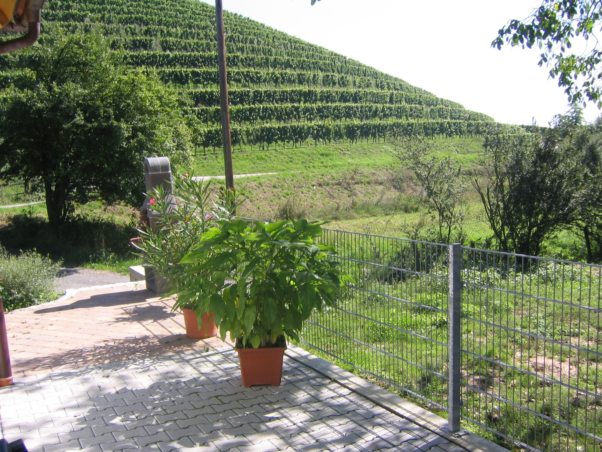 FeWo Weingut Echle