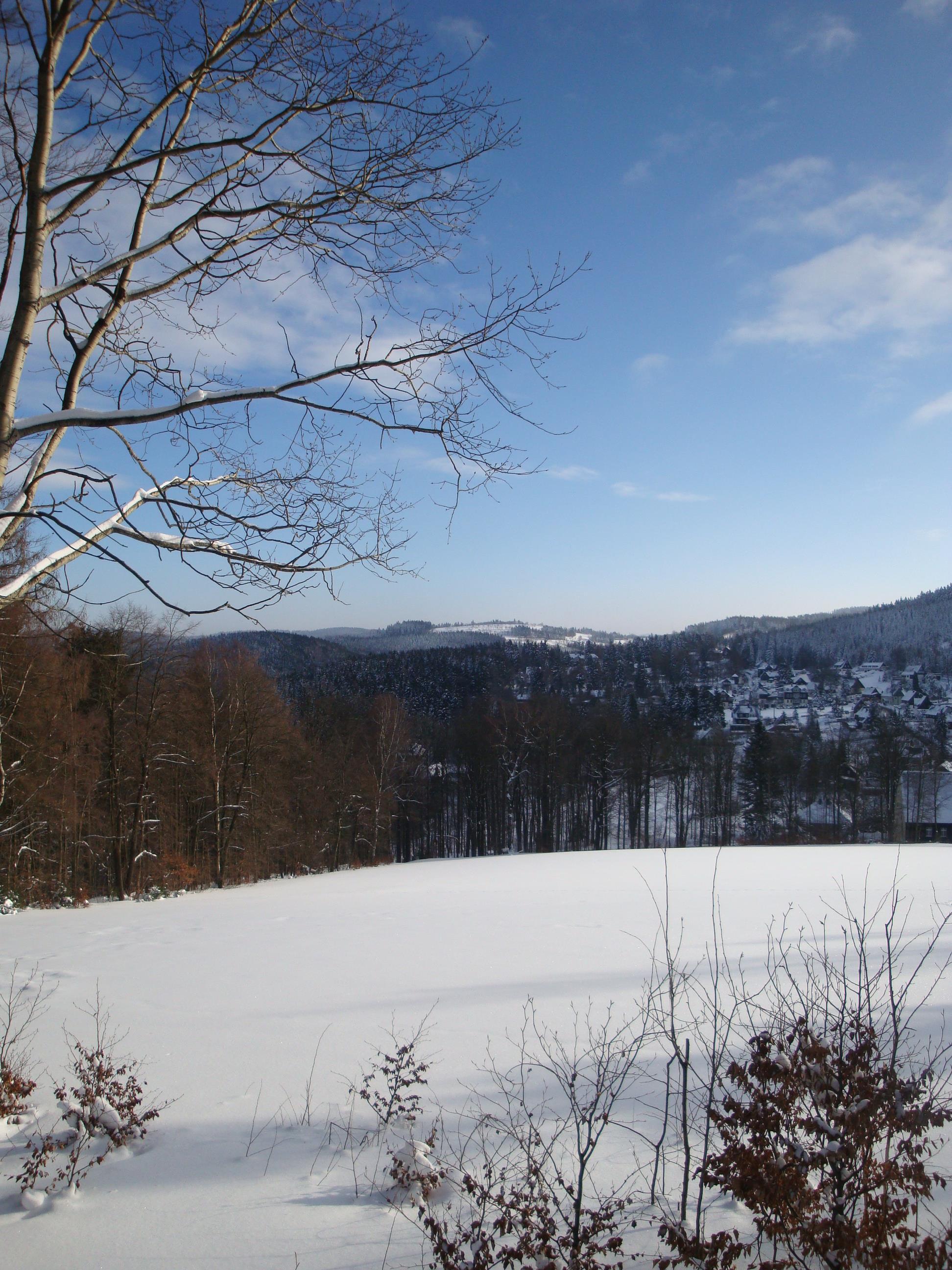 Ferienwohnung Lange, Altenberg