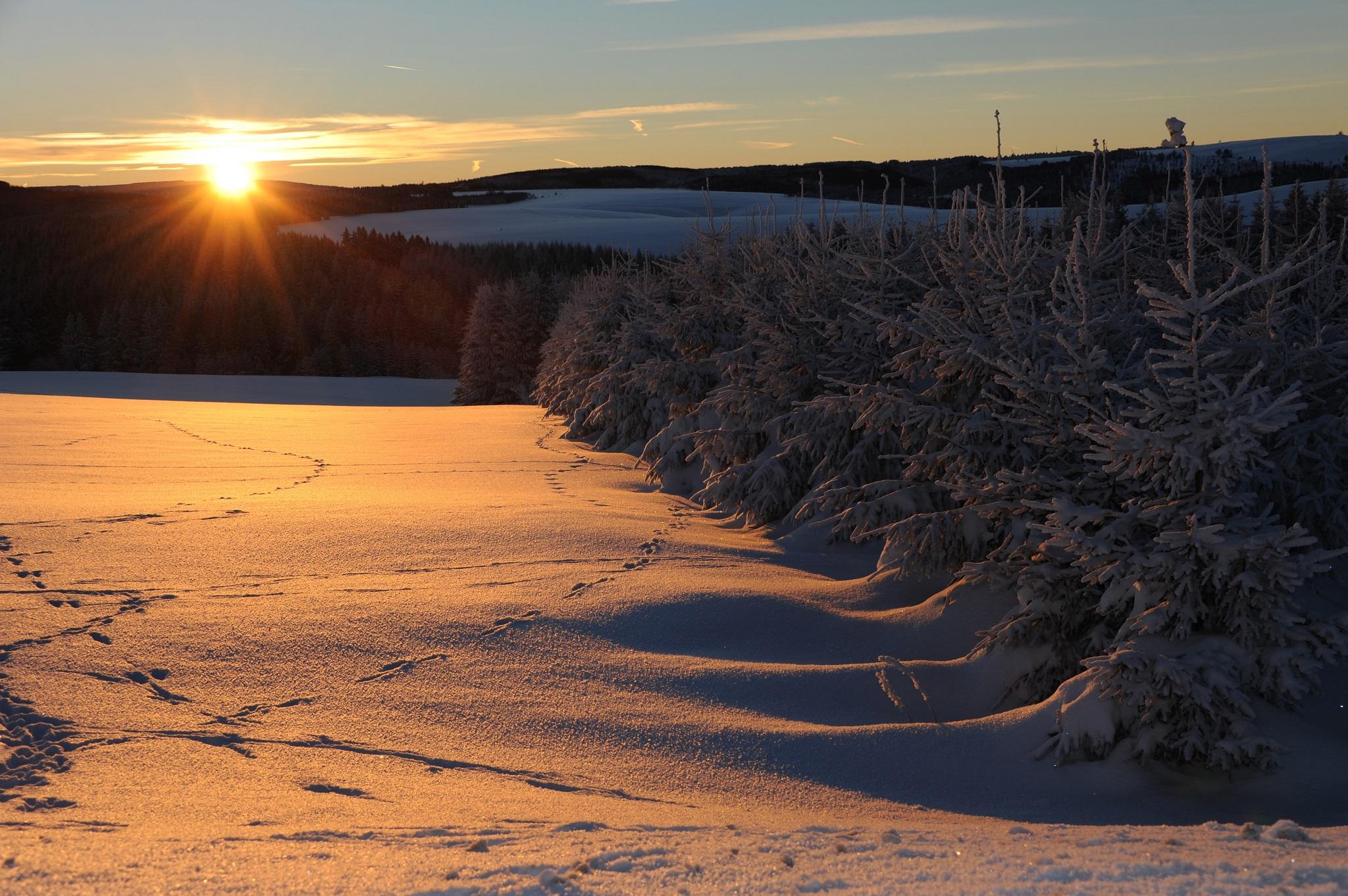 Sonnenuntergang Neu - Hermsdorf