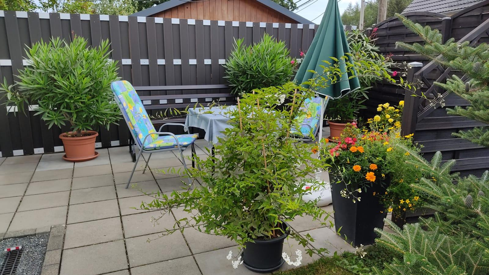 IMG-20220821-WA0003