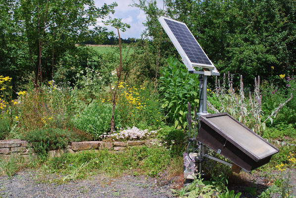 Garten des Lebendigen Bienenmuseums