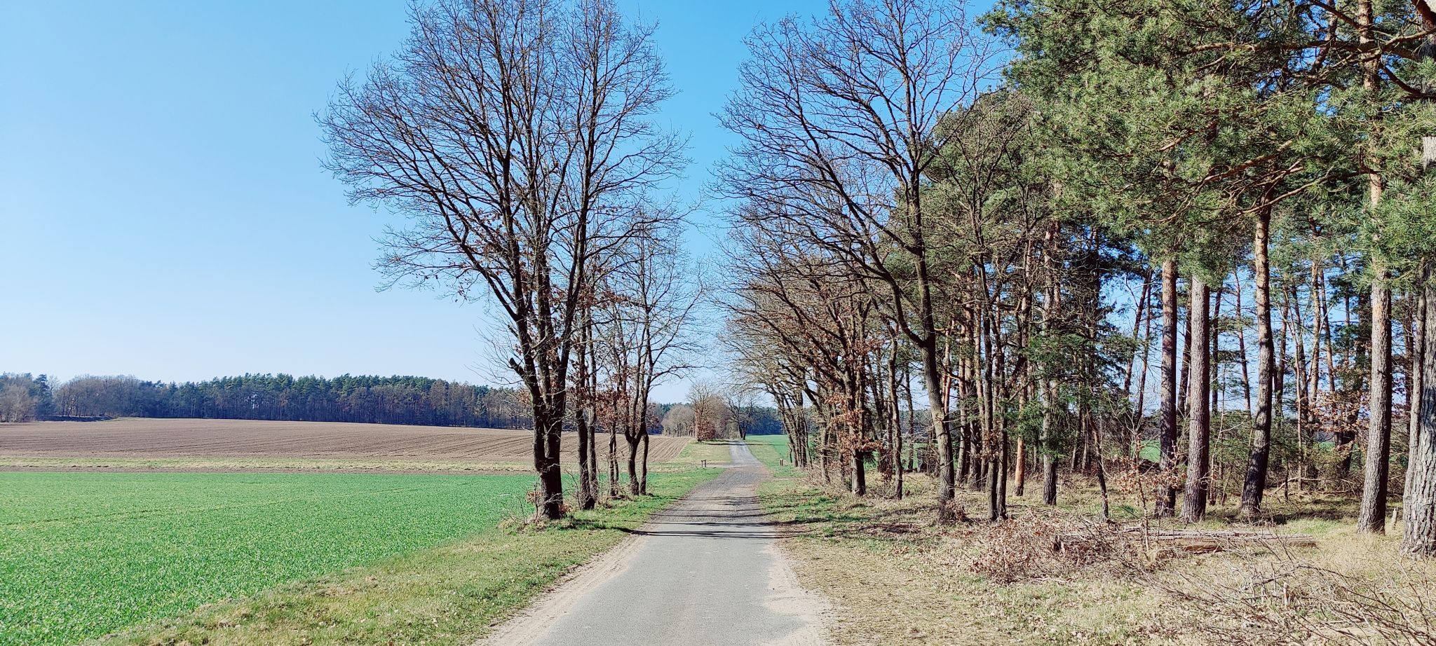 Ilmenau-Loop
