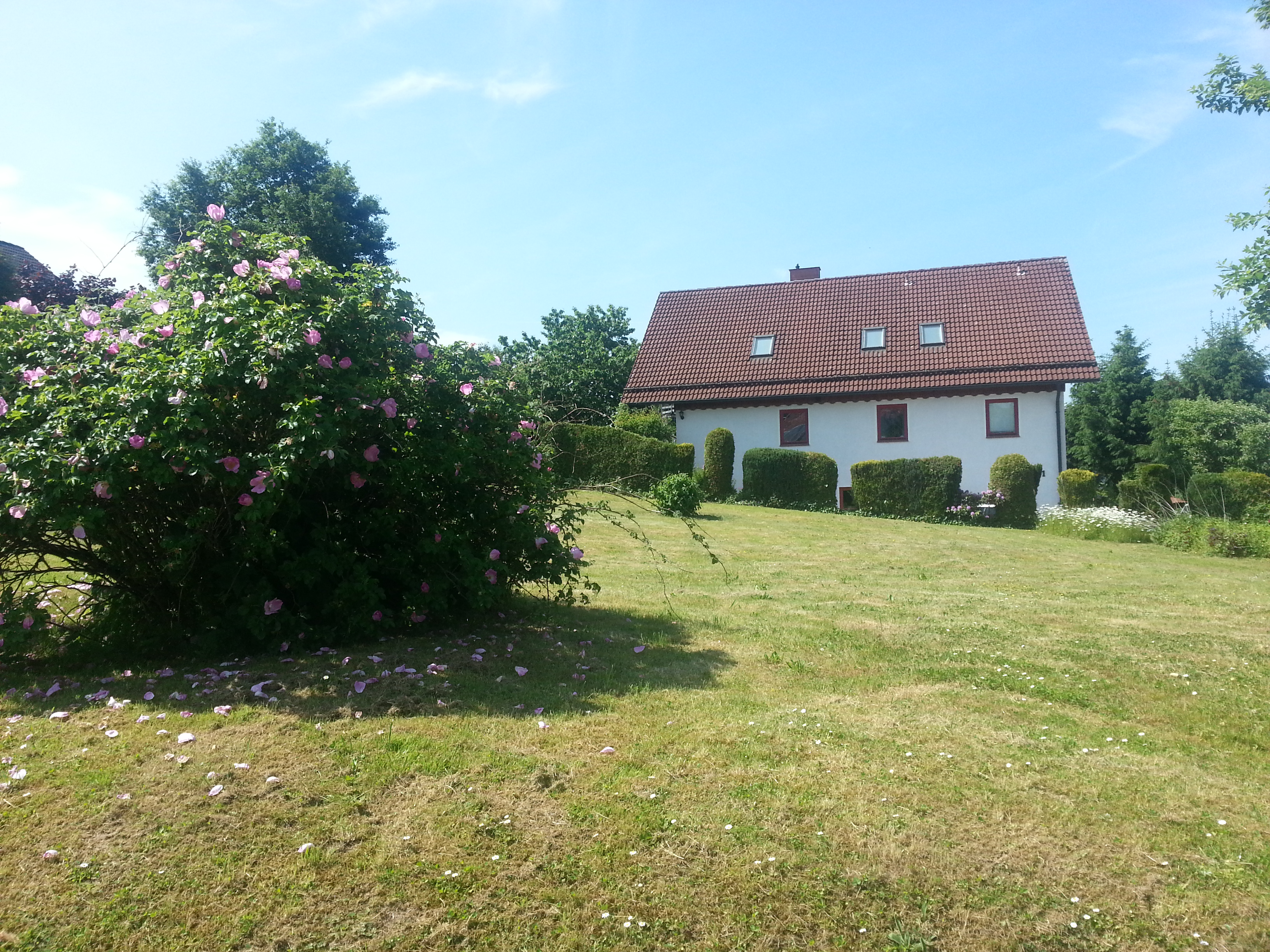 Wein & Stein Appartements Ferienzimmer, Bad Gandersheim