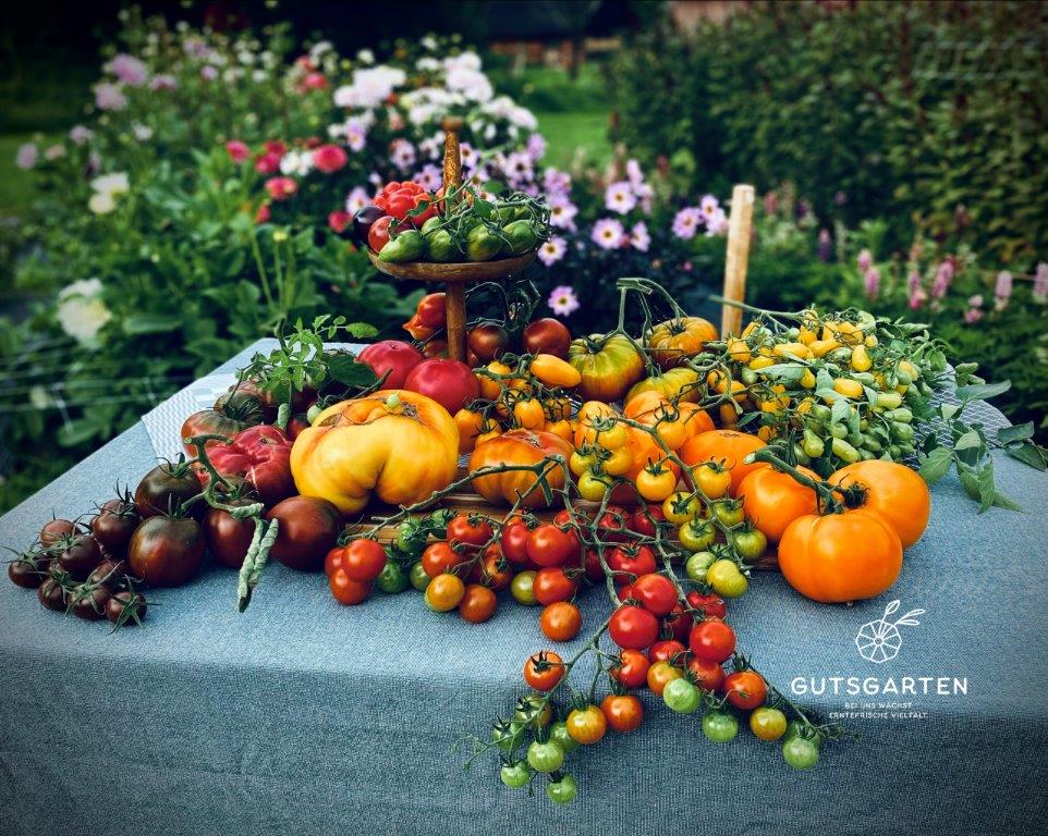 GUTSGARTEN