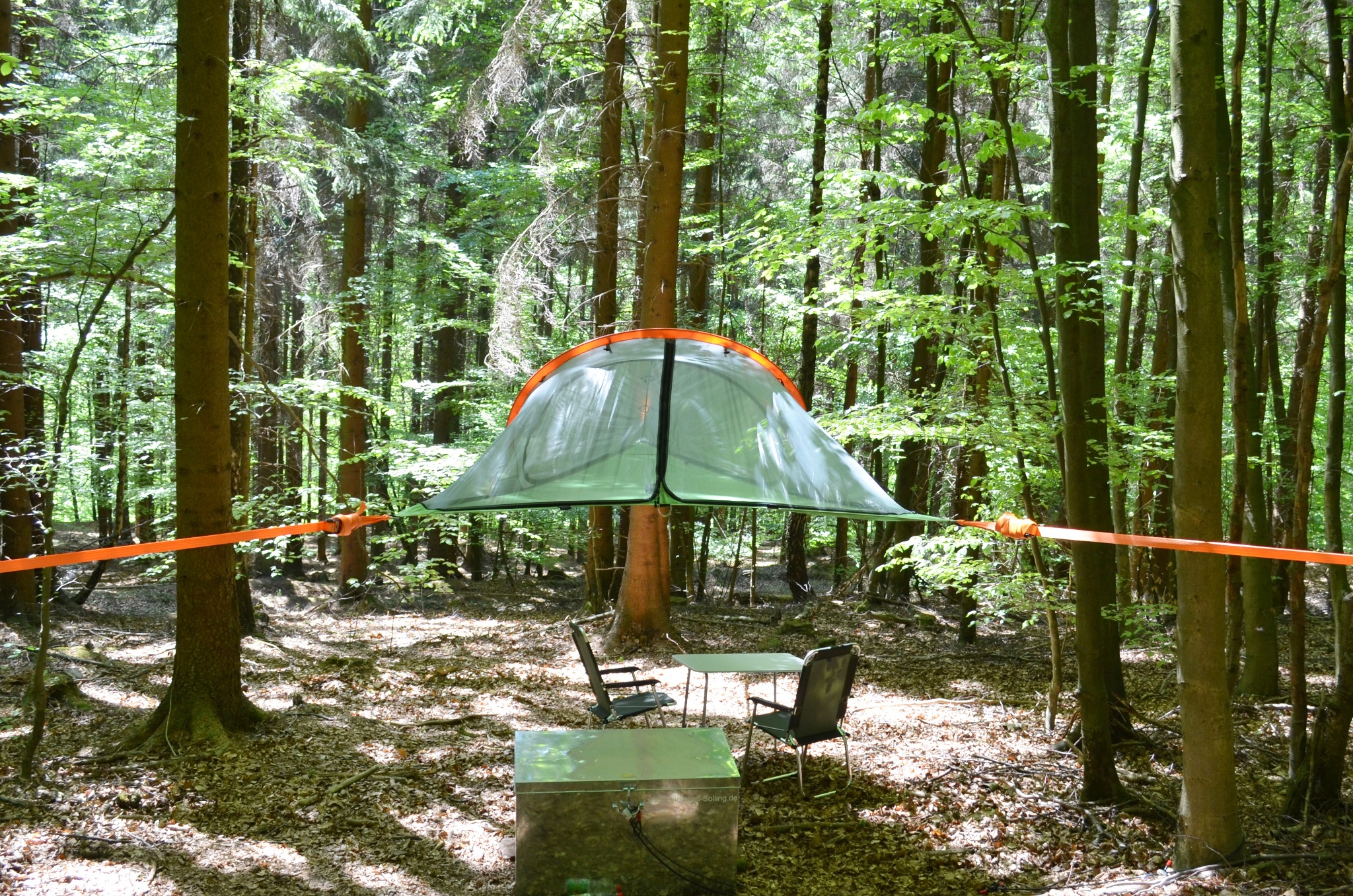 Baumzelt im Wald