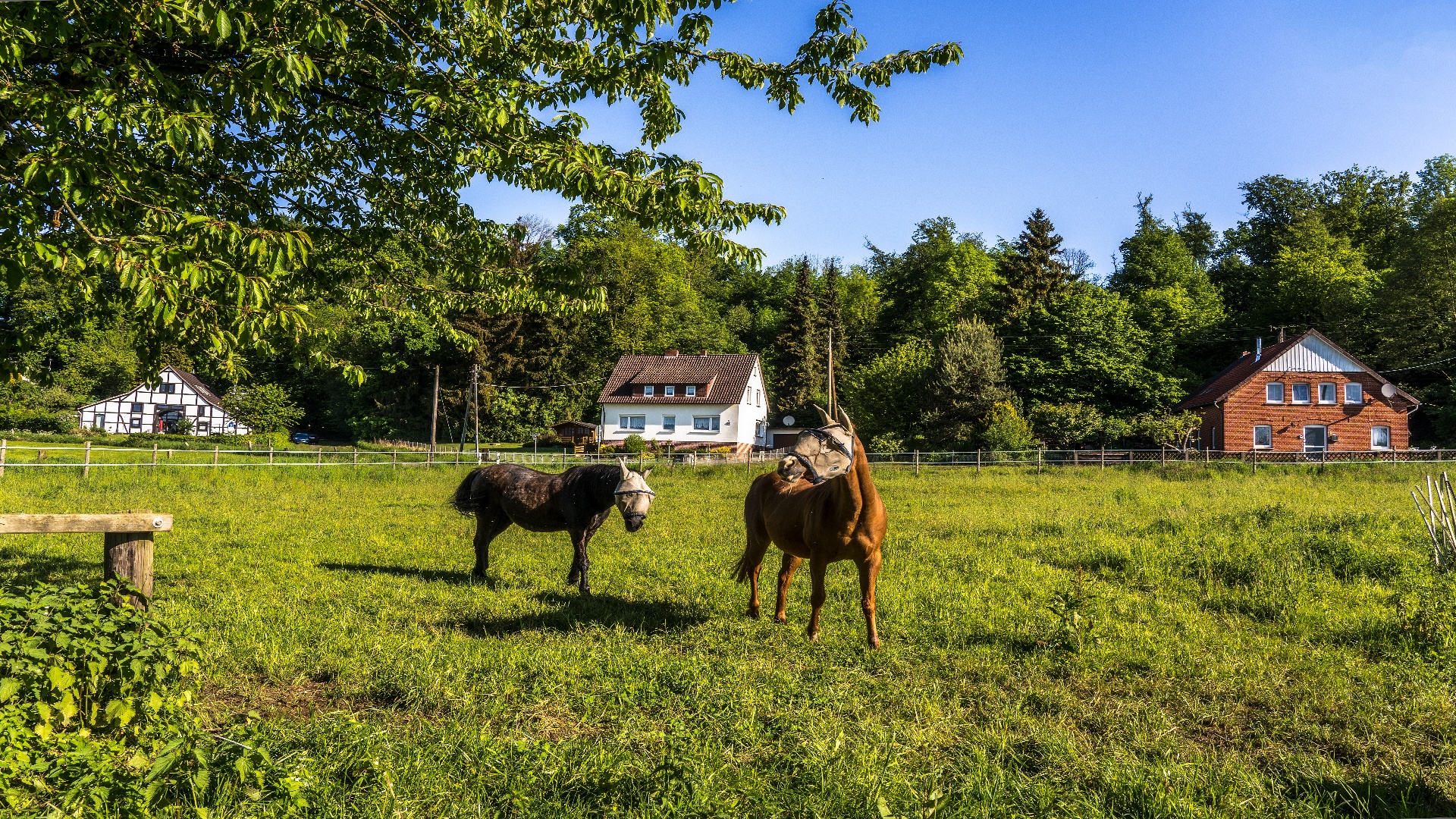 „Kleine Schweiz"