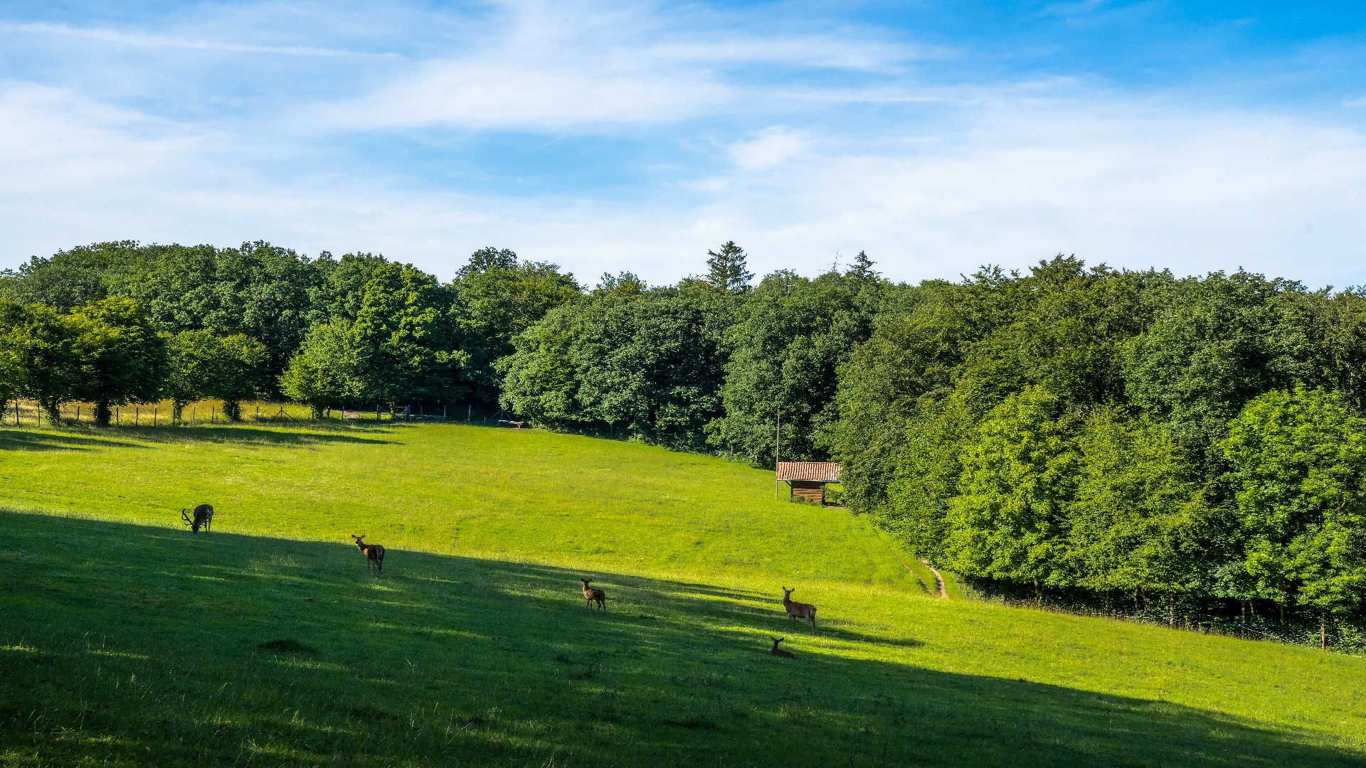 „Lustgarten“ Friedrichswald