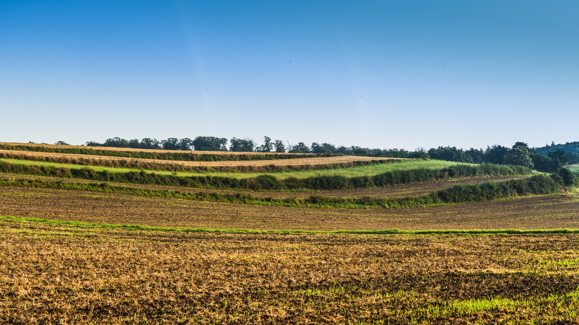 Terrassenäcker