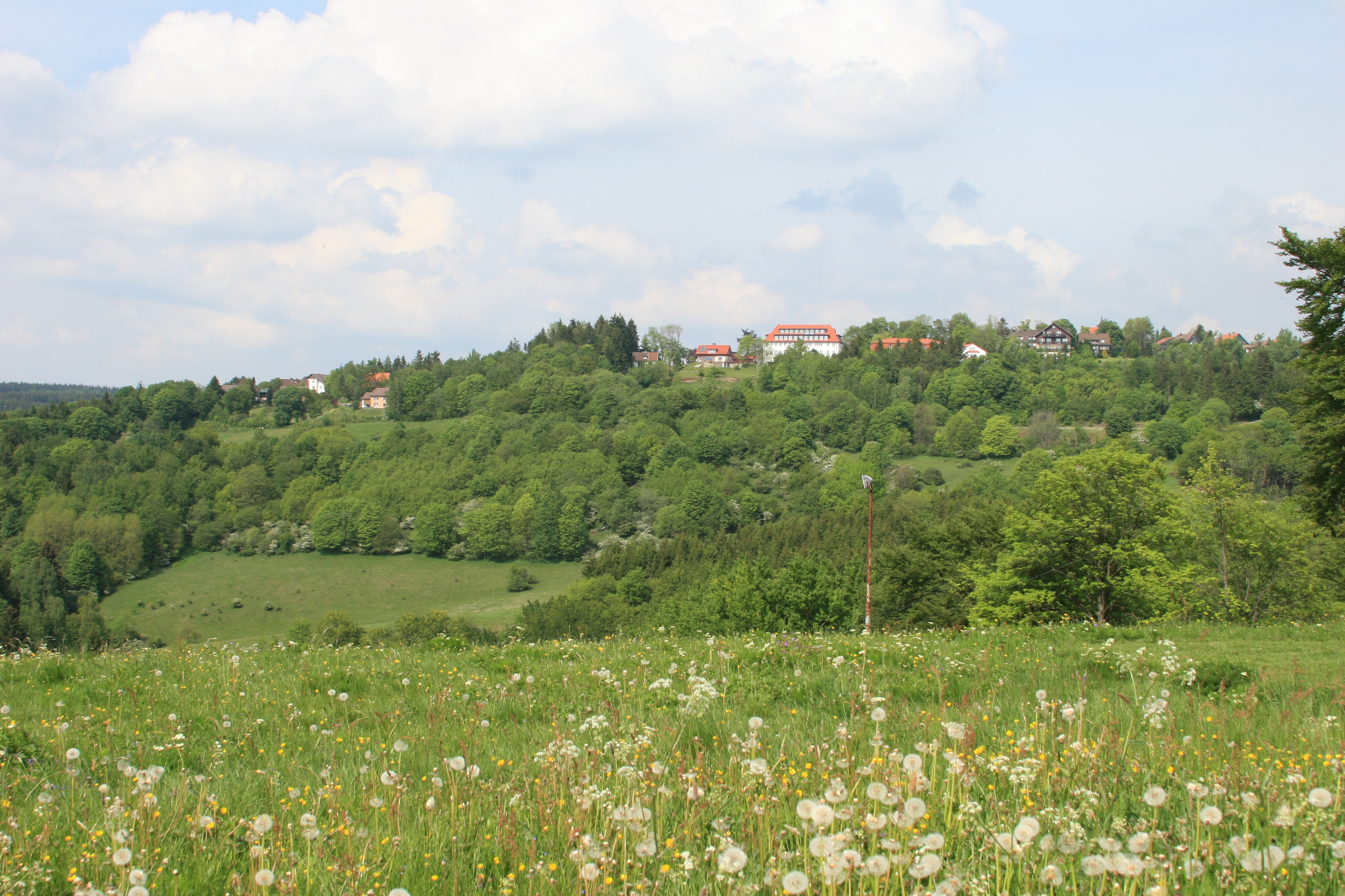 hohegeiß-ortsansicht(c)siegfried-richter.JPG
