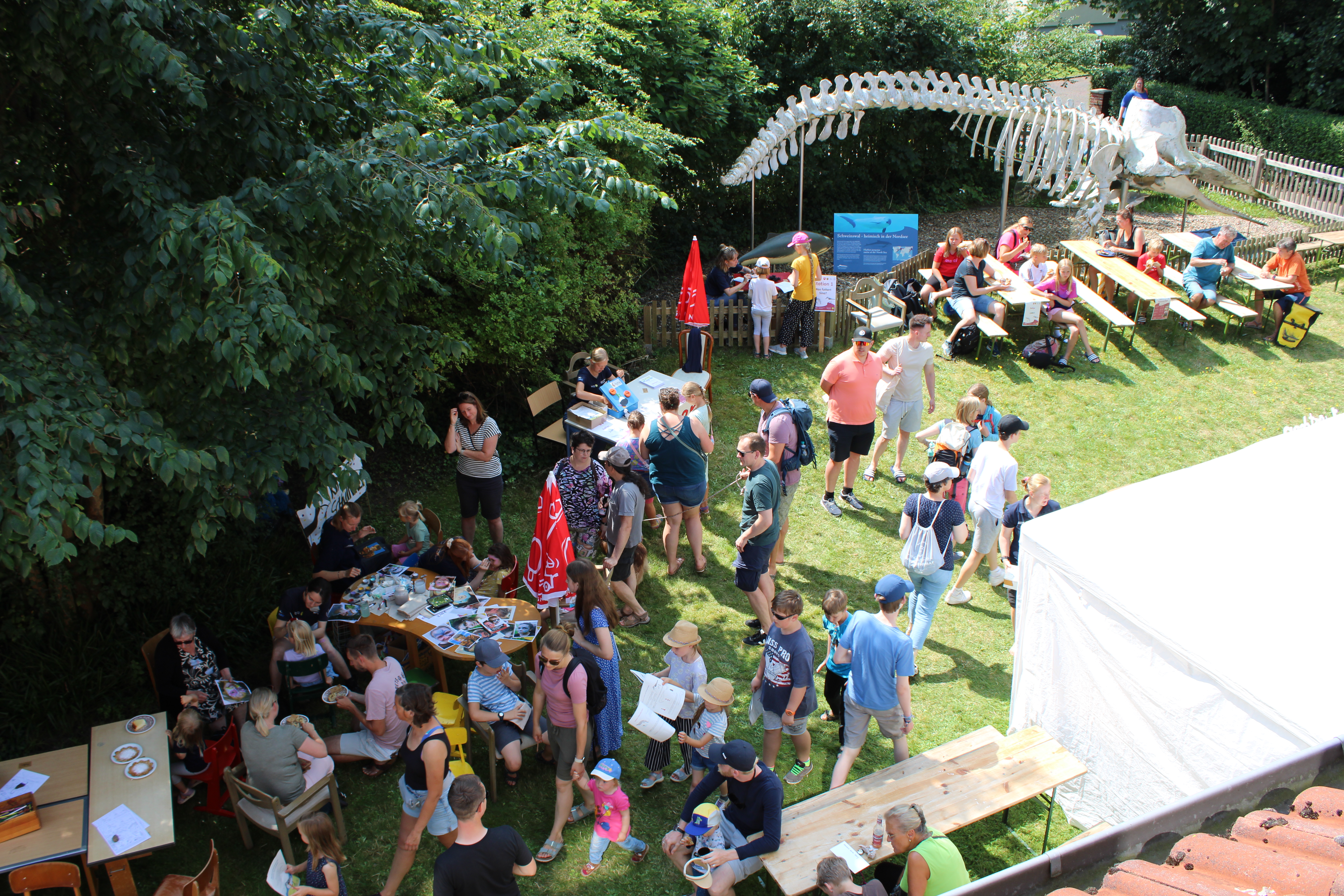 01_Sommerfest_Christiane_Baak.JPG