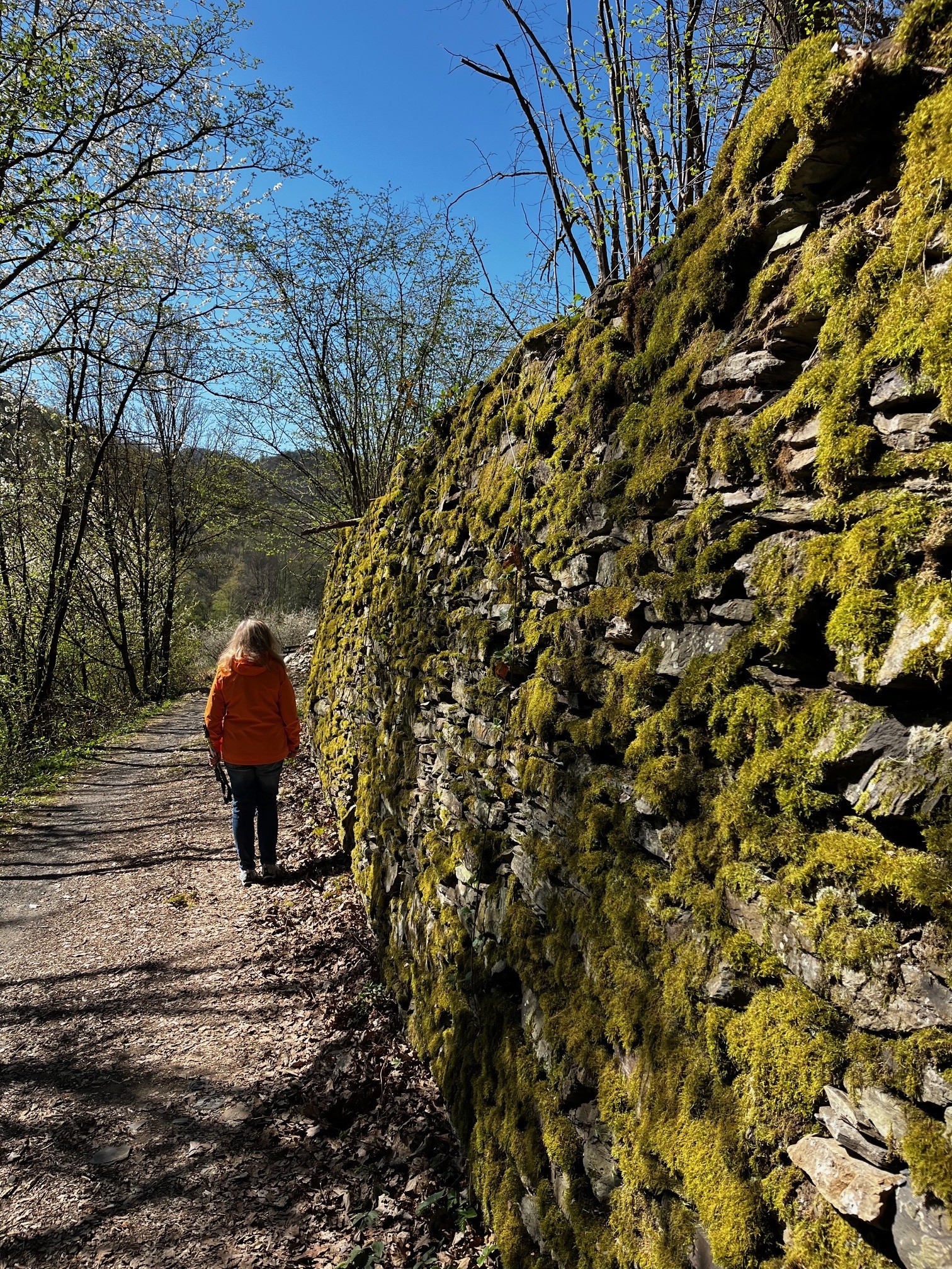 Weinbergsroute-1.jpg