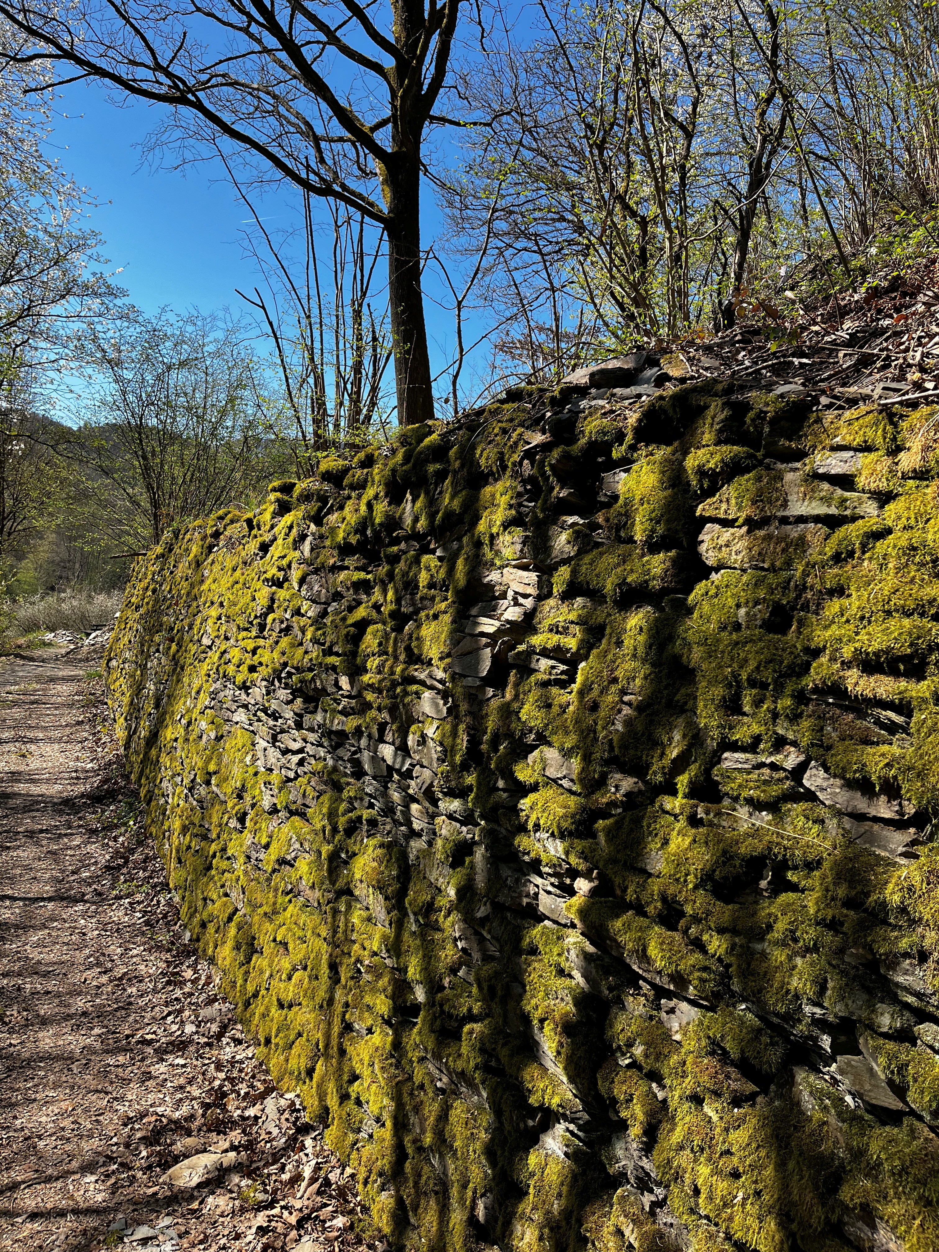 Weinbergsroute-2.jpg