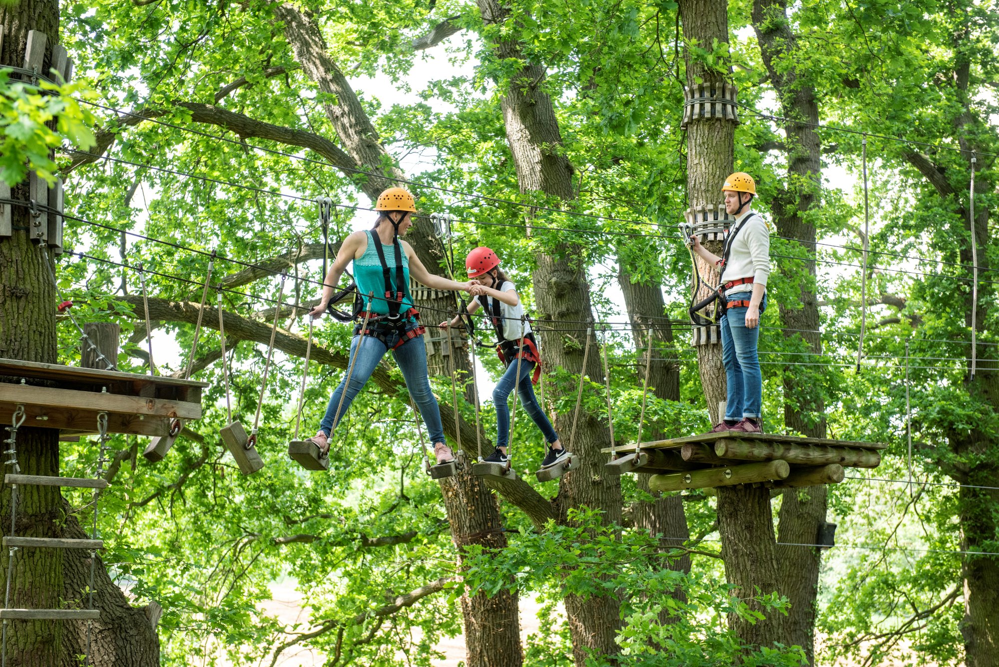 SeaTree Abenteuerpark Steinhuder Meer