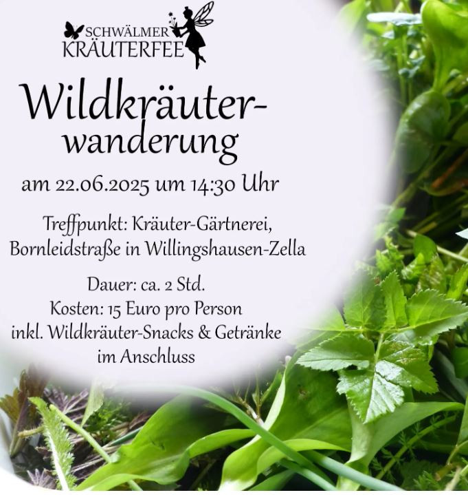 Wildkräuterwanderung