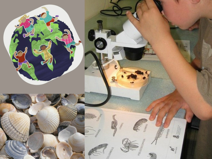 Watt-Welt ganz gro&szlig; f&uuml;r L&uuml;tte