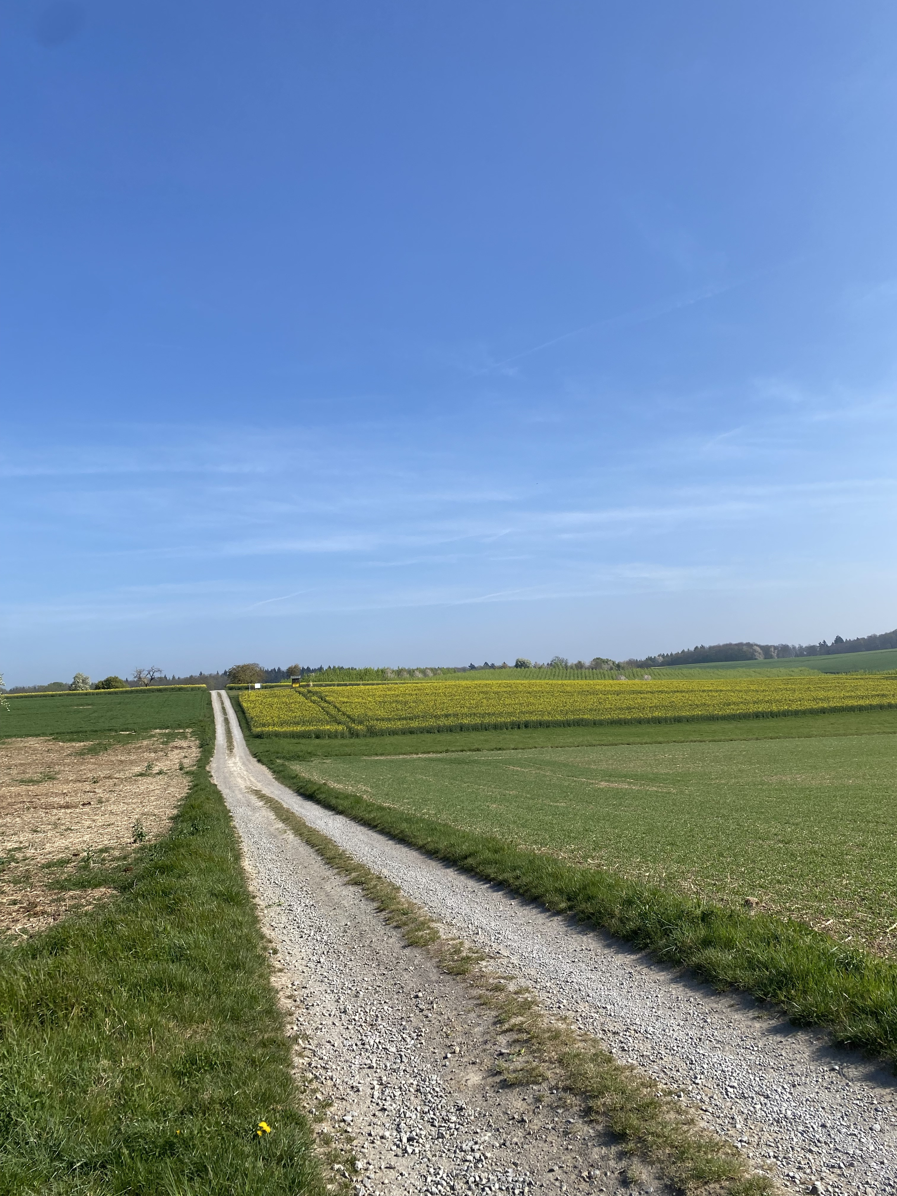 Europäischer Fernwanderweg E1 und Weinpfad Kraichgau bei Kraichtal
