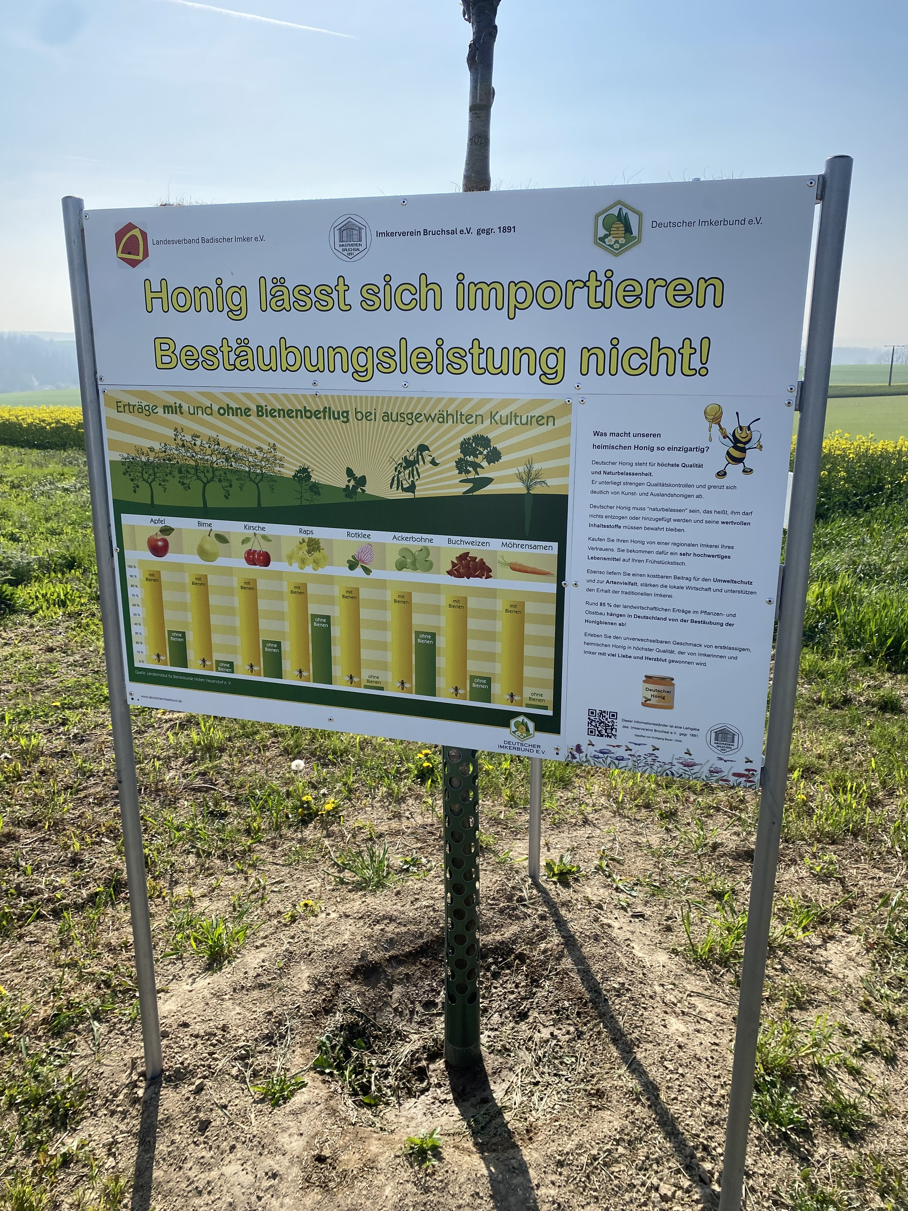 Schautafel Imkerverein HÜGELREICH Münzesheim
