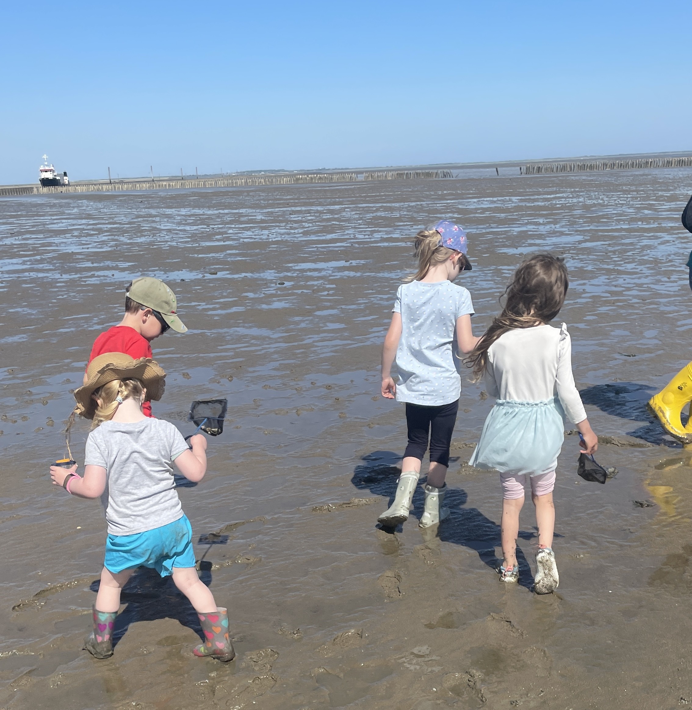 Watt zum Buddeln - Watt-SAFARI f&uuml;r Kids von 4 - 7 Jahren