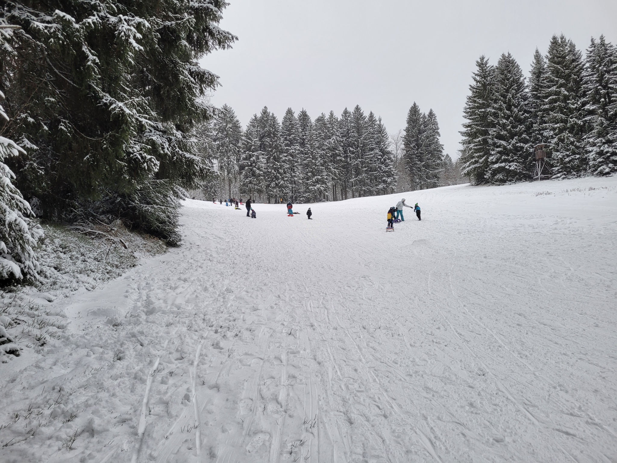Rodelhang am Waldpark Grünheide – Motiv