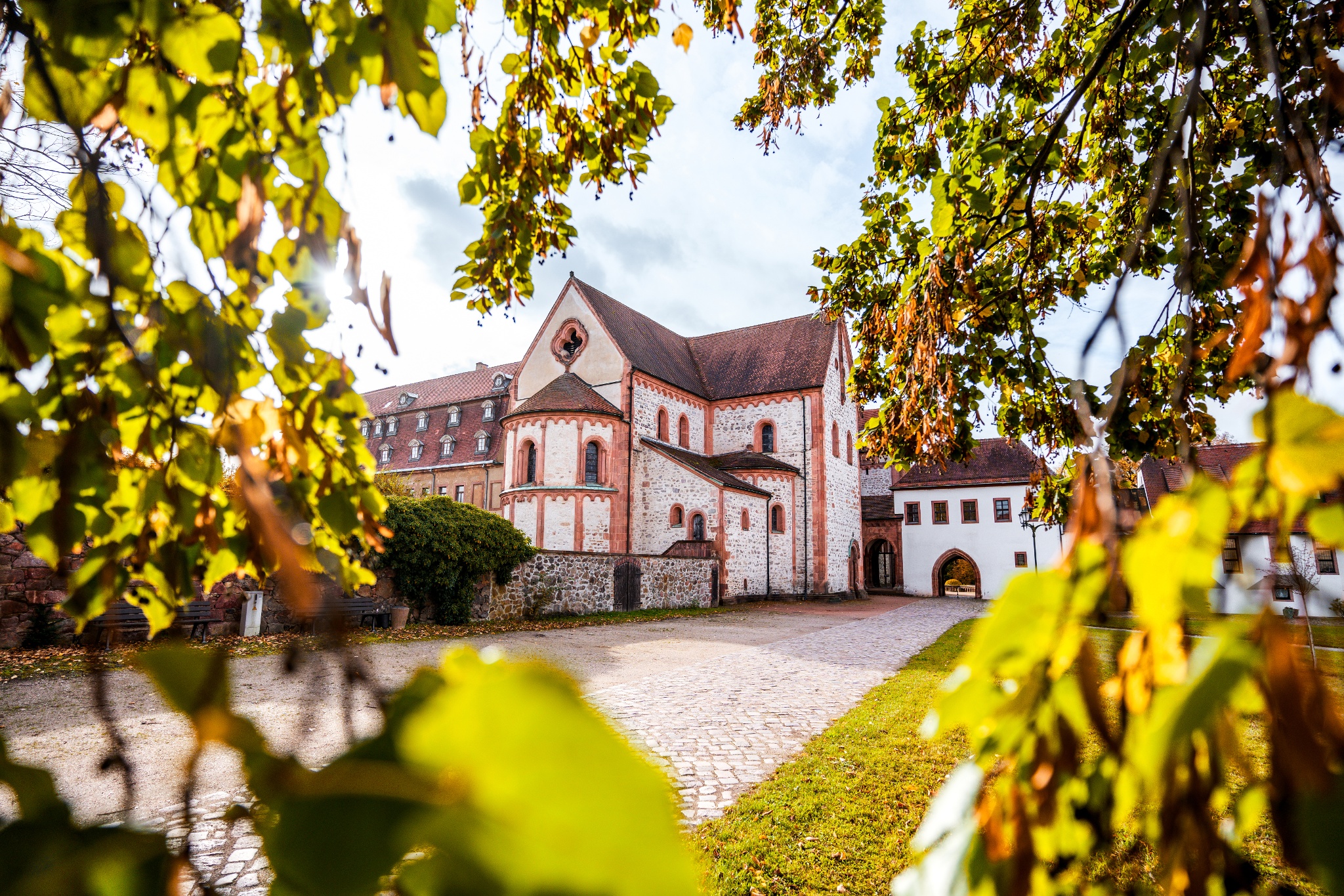 Basilika Wechselburg – Motiv