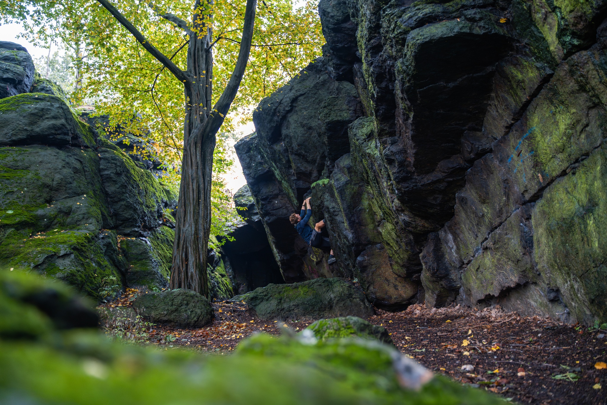 Bouldern im Chemnitztal – Motiv