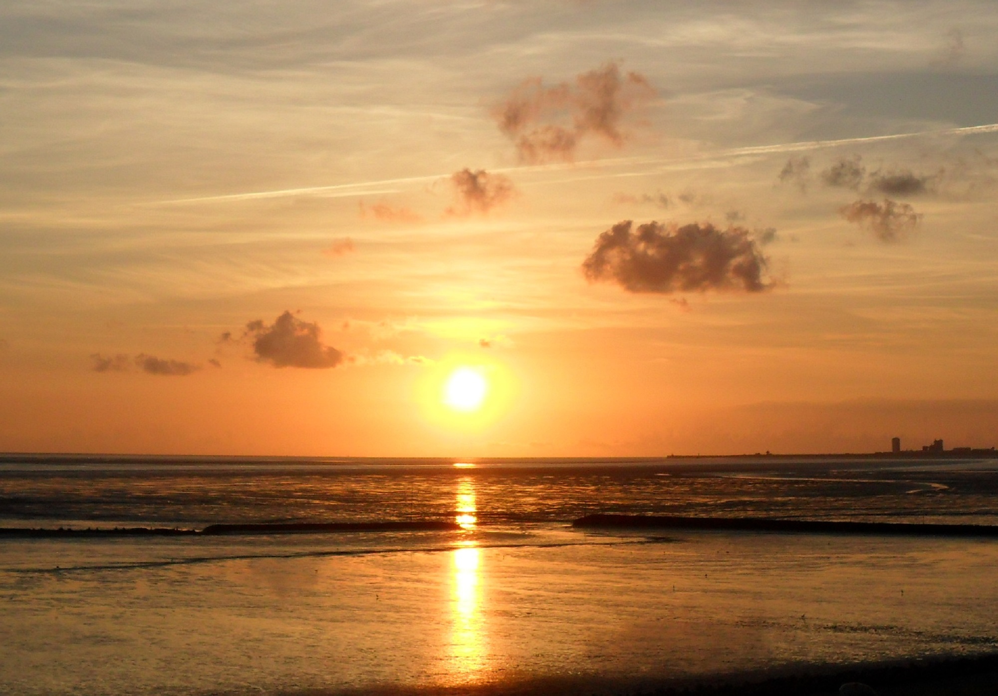 Picknick am Meer mit Büchern über's Meer