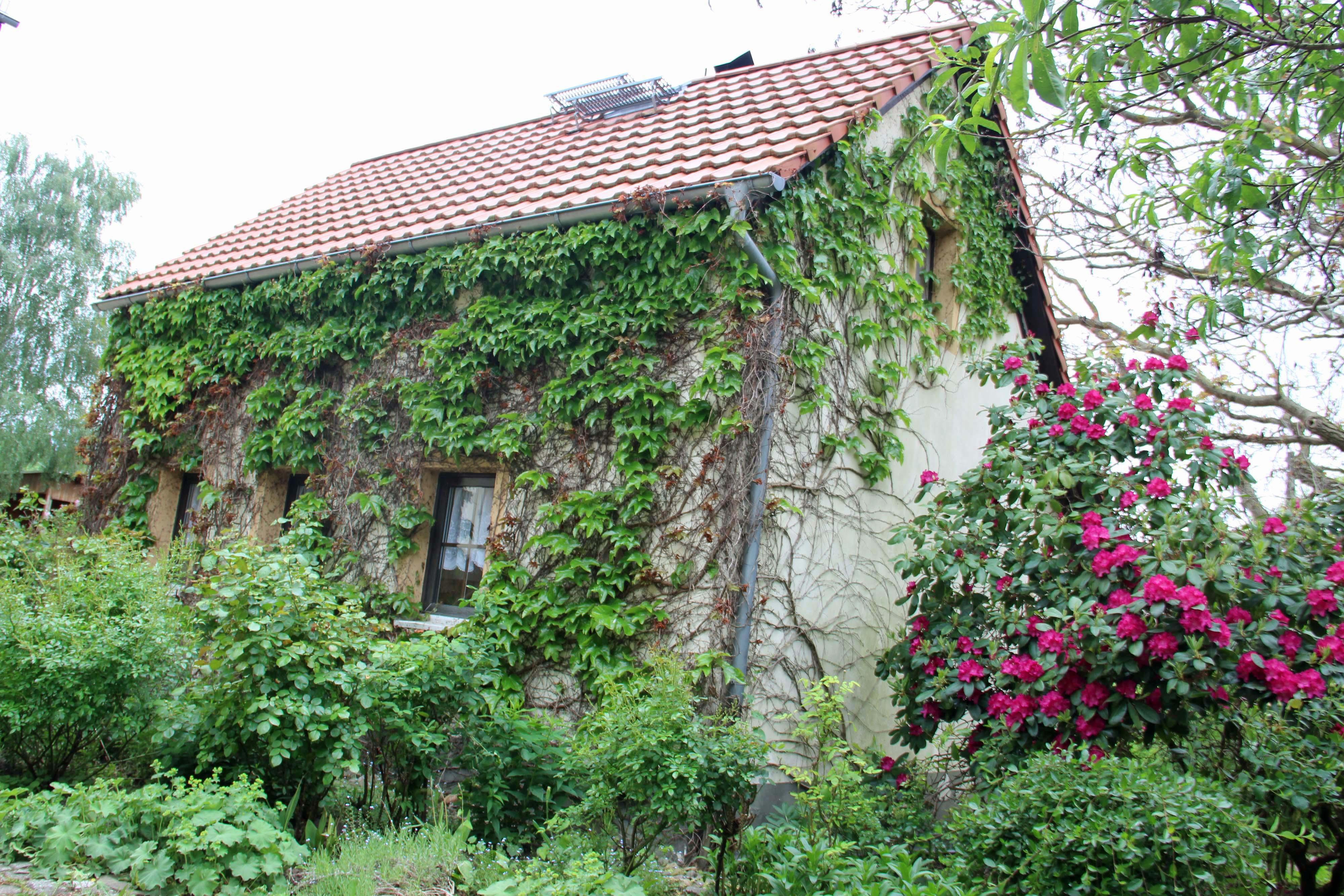 Wanderhäusel Bärensteinhof – Motiv