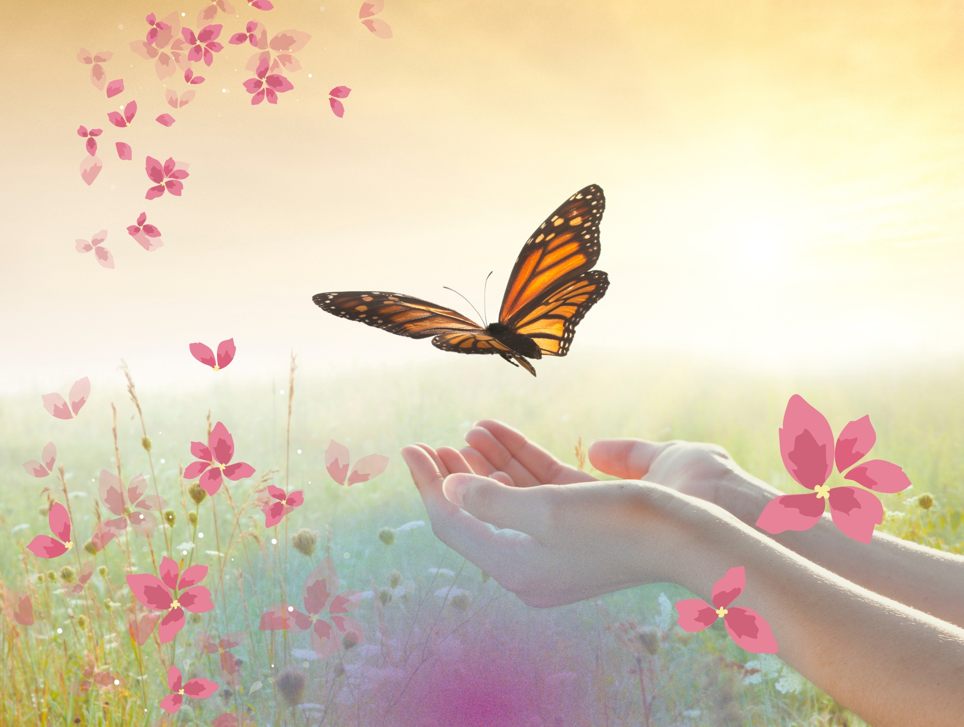Workshop: Lebensenergie Menopause