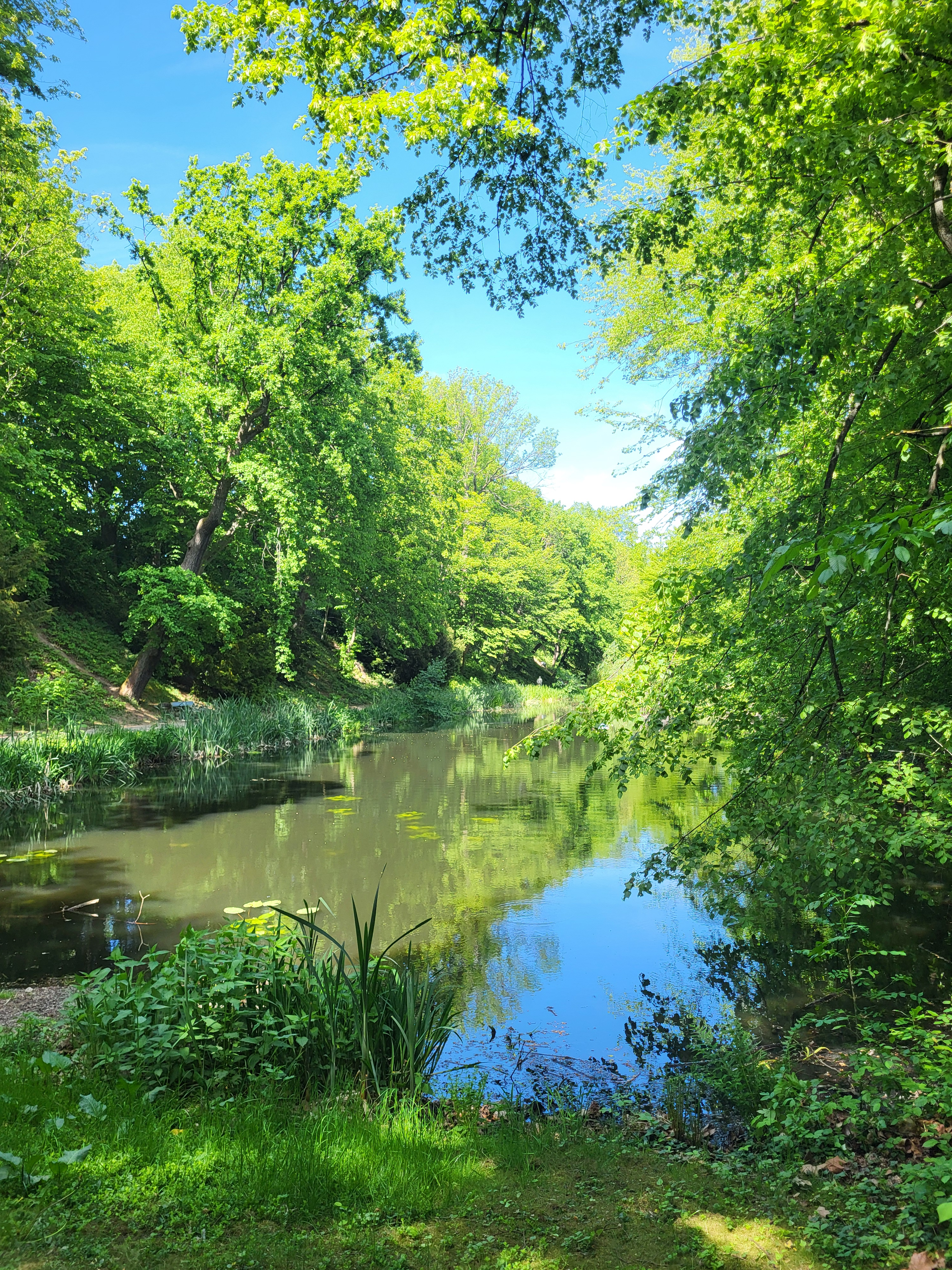 Judenteiche