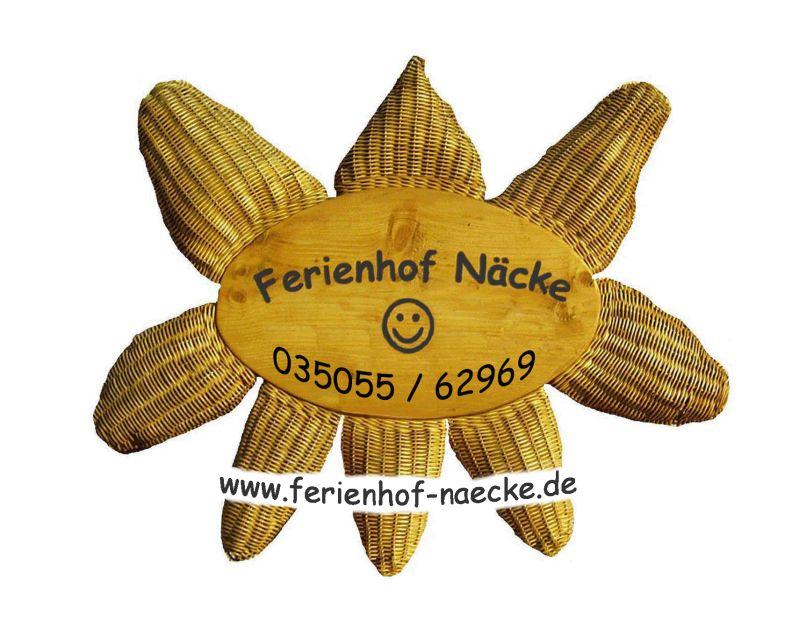 Unser Logo - Korbblume