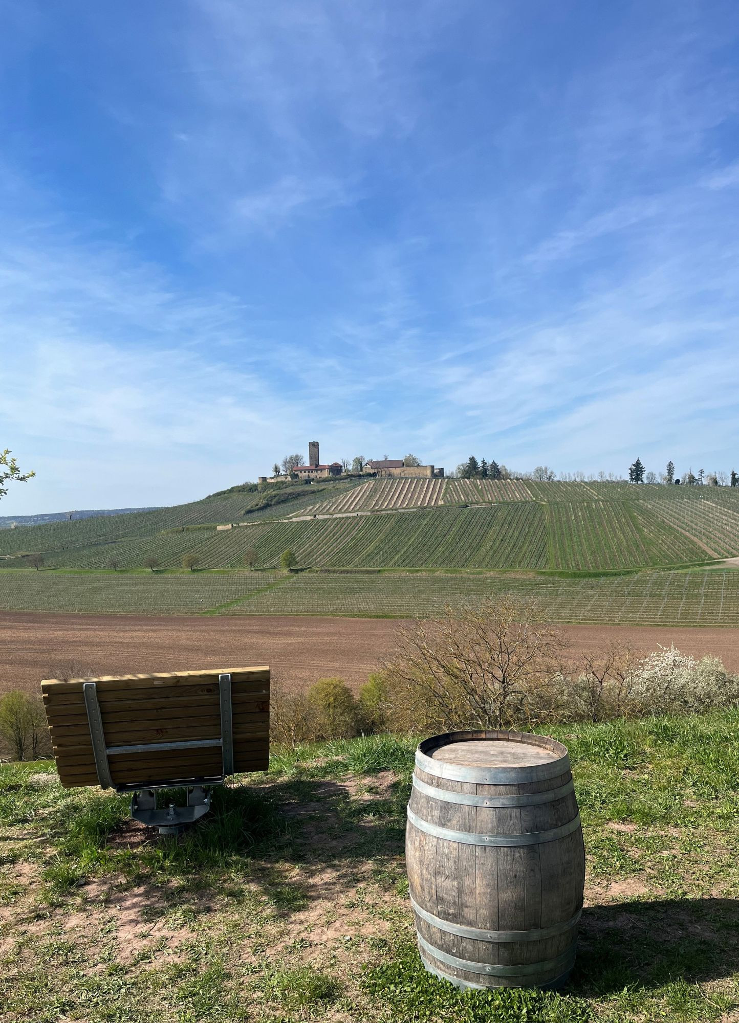 33.2_Hügelsofa_Tobel6_Sulzfeld_(c)Gemeinde Sulzfeld
