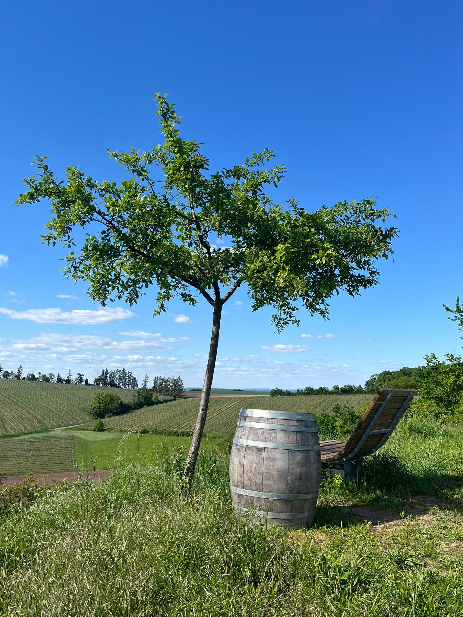 33.2_Hügelsofa_Tobel5_Sulzfeld_(c)Gemeinde Sulzfeld