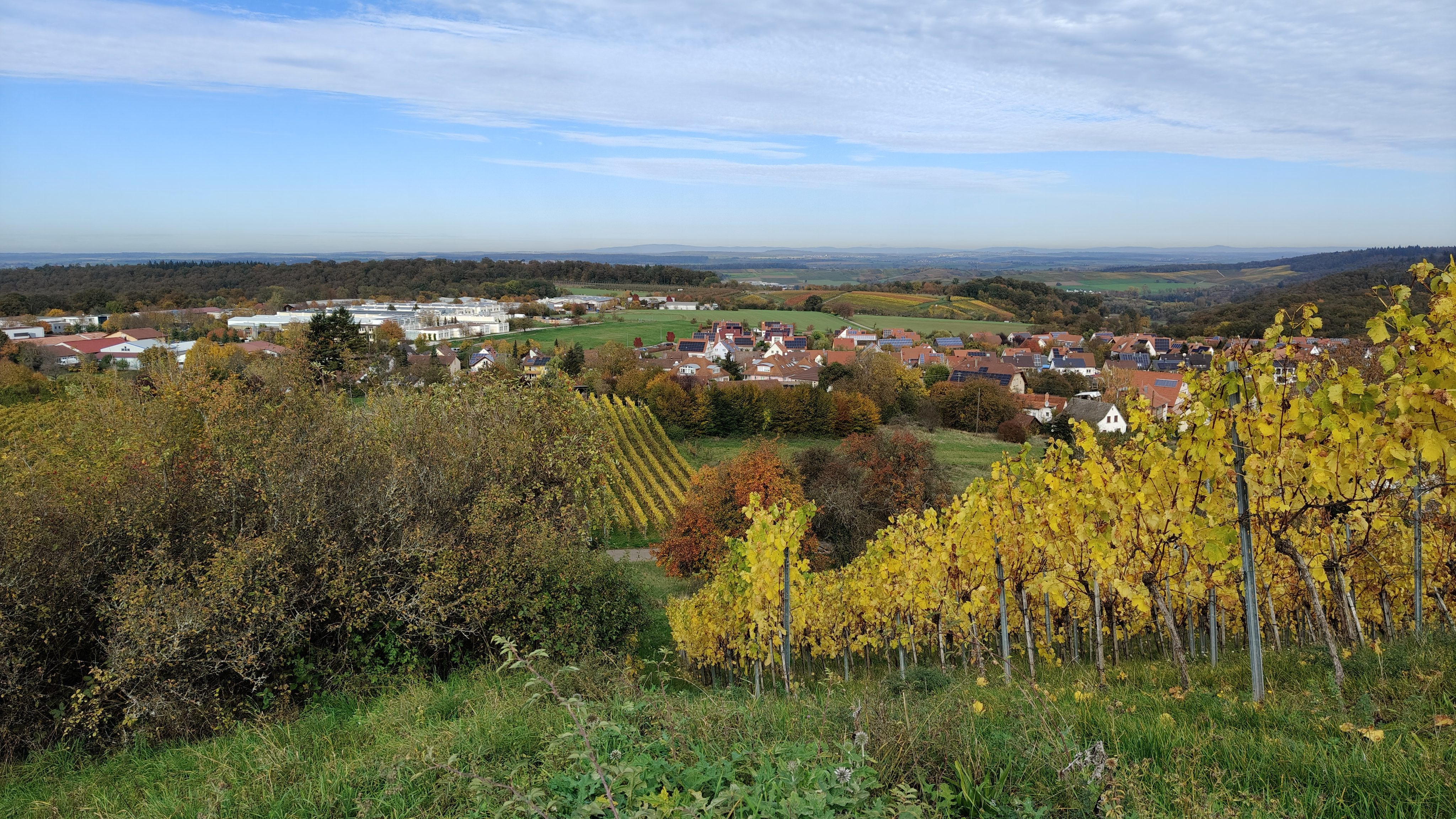 01_31.4_2024_Hügel-Sofa_Sternenfels Augenberg_©Karin Urban_Gemeinde Sternenfels